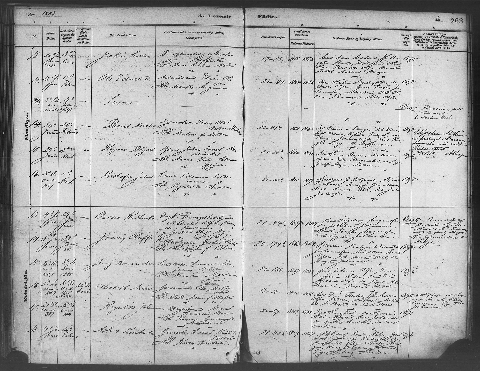 Korskirken sokneprestembete, SAB/A-76101/H/Haa/L0021: Parish register (official) no. B 7, 1878-1889, p. 263