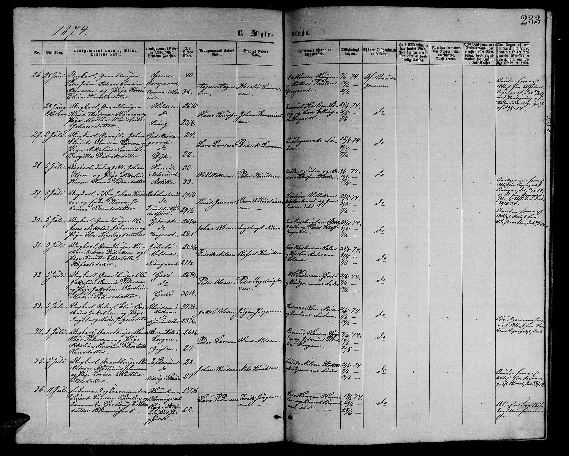 Ministerialprotokoller, klokkerbøker og fødselsregistre - Møre og Romsdal, AV/SAT-A-1454/528/L0428: Parish register (copy) no. 528C09, 1864-1880, p. 233