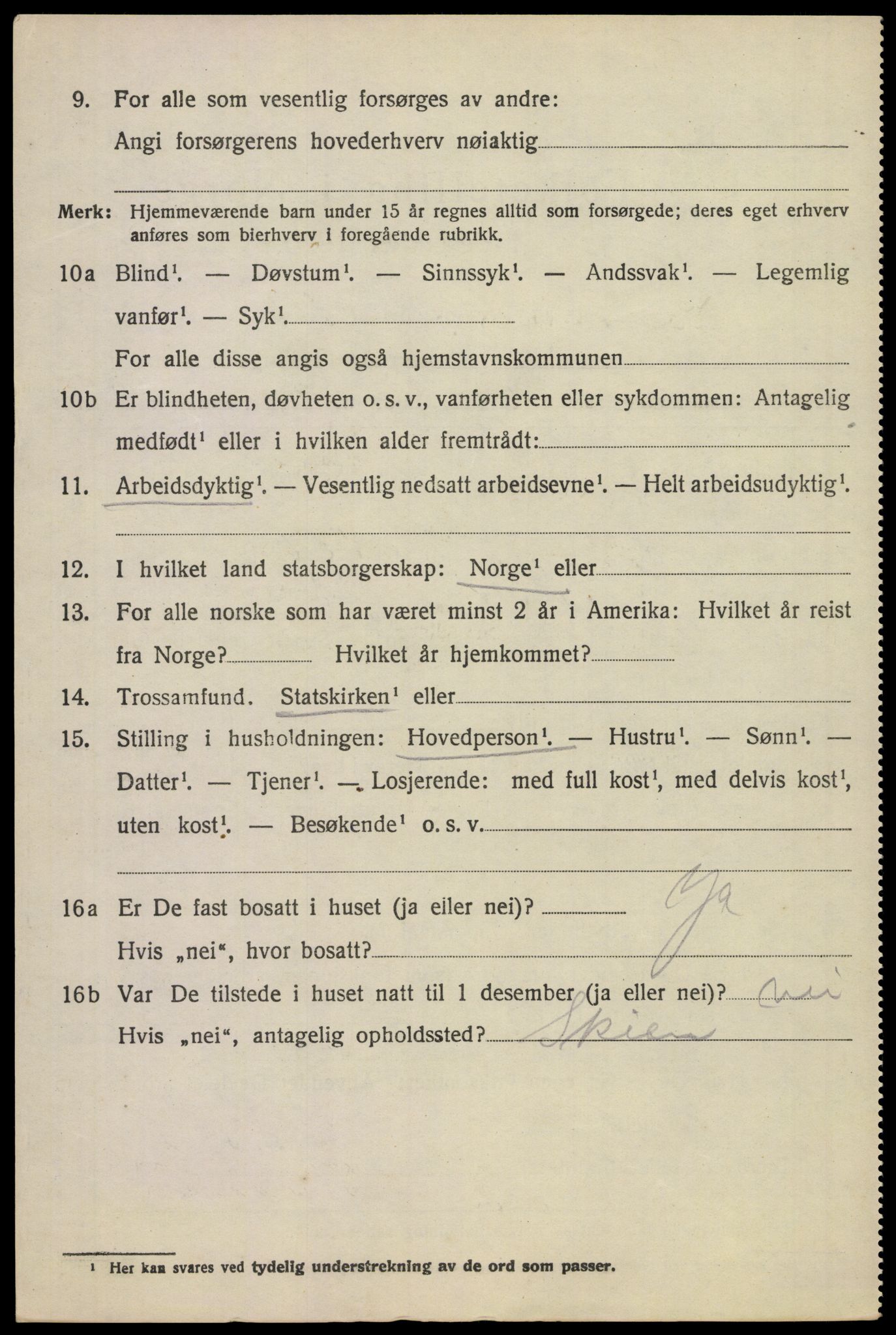 SAKO, 1920 census for Borre, 1920, p. 4945