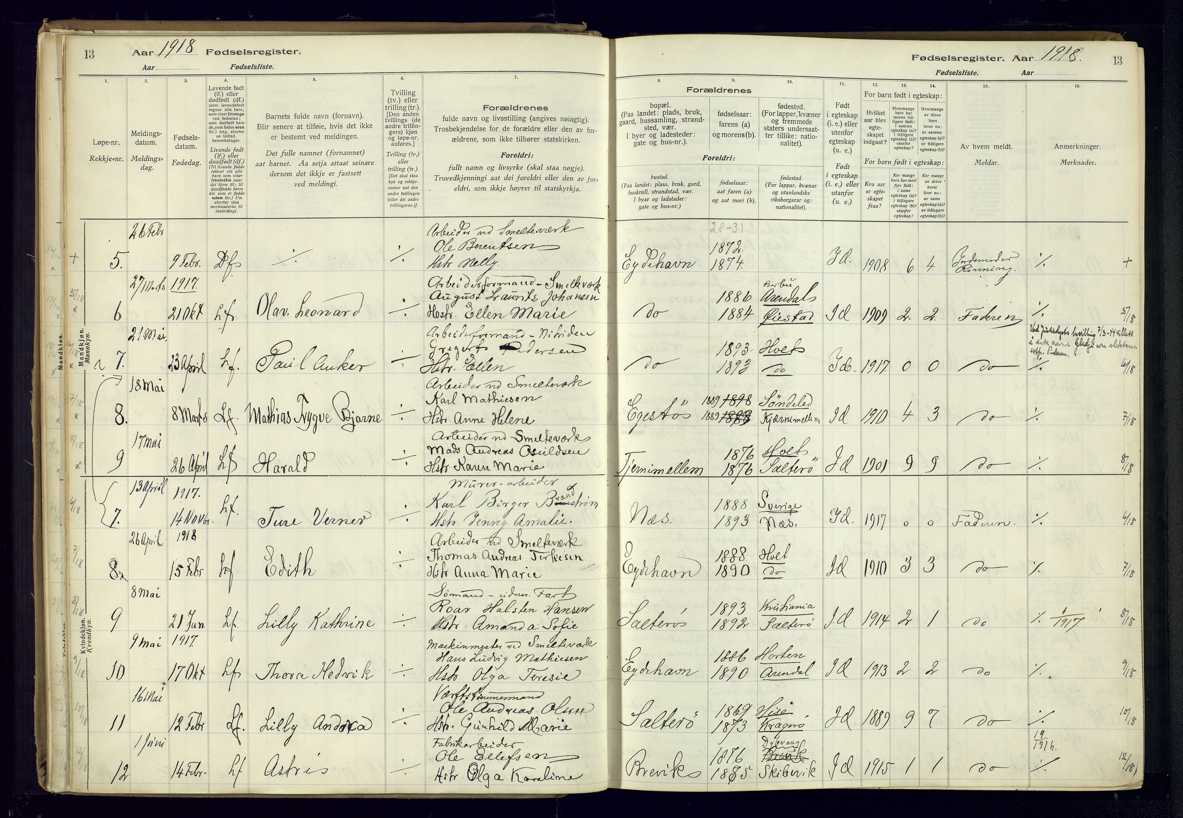 Austre Moland sokneprestkontor, SAK/1111-0001/J/Ja/L0003: Birth register no. A-VI-27, 1916-1950, p. 13