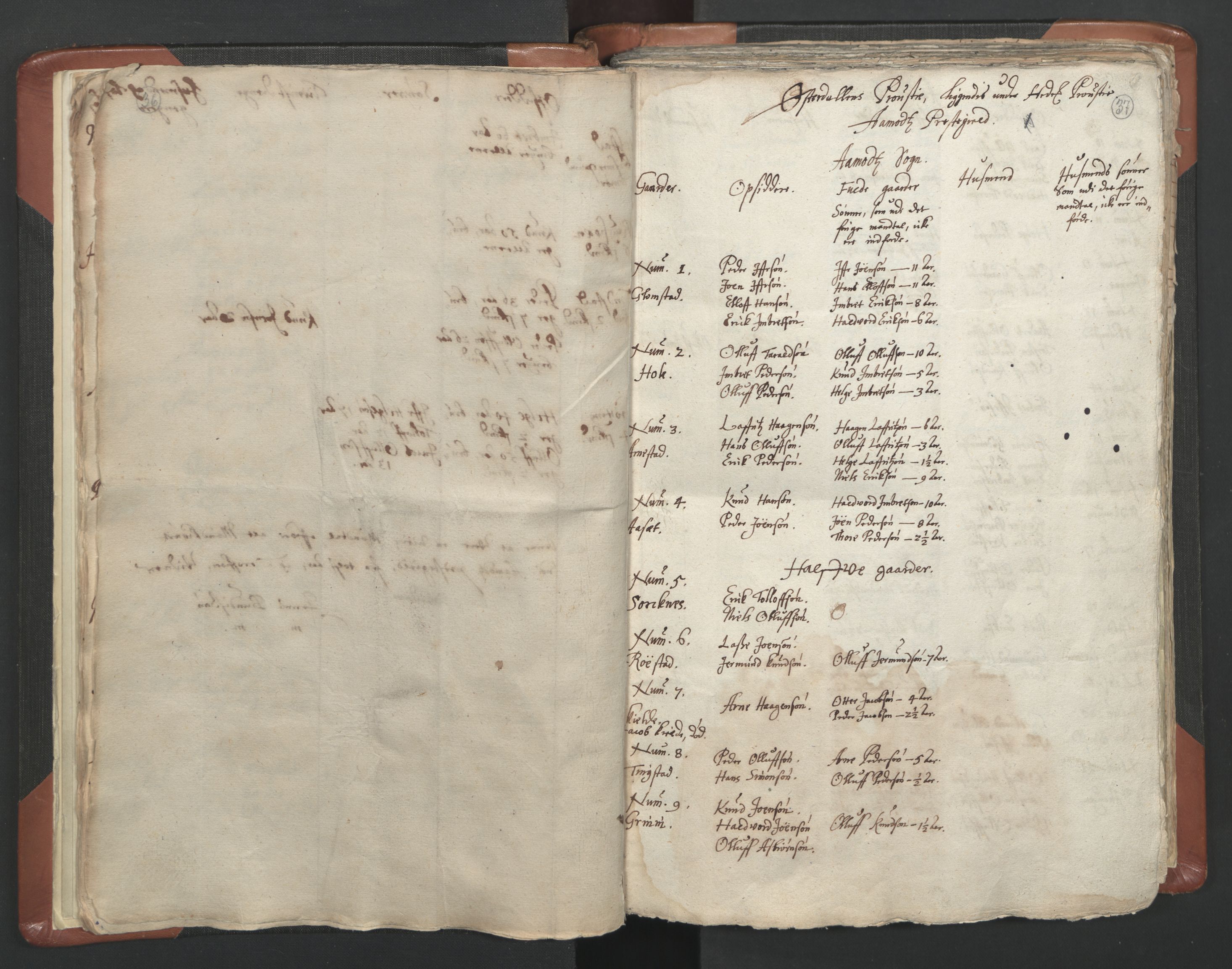RA, Vicar's Census 1664-1666, no. 5: Hedmark deanery, 1664-1666, p. 36-37