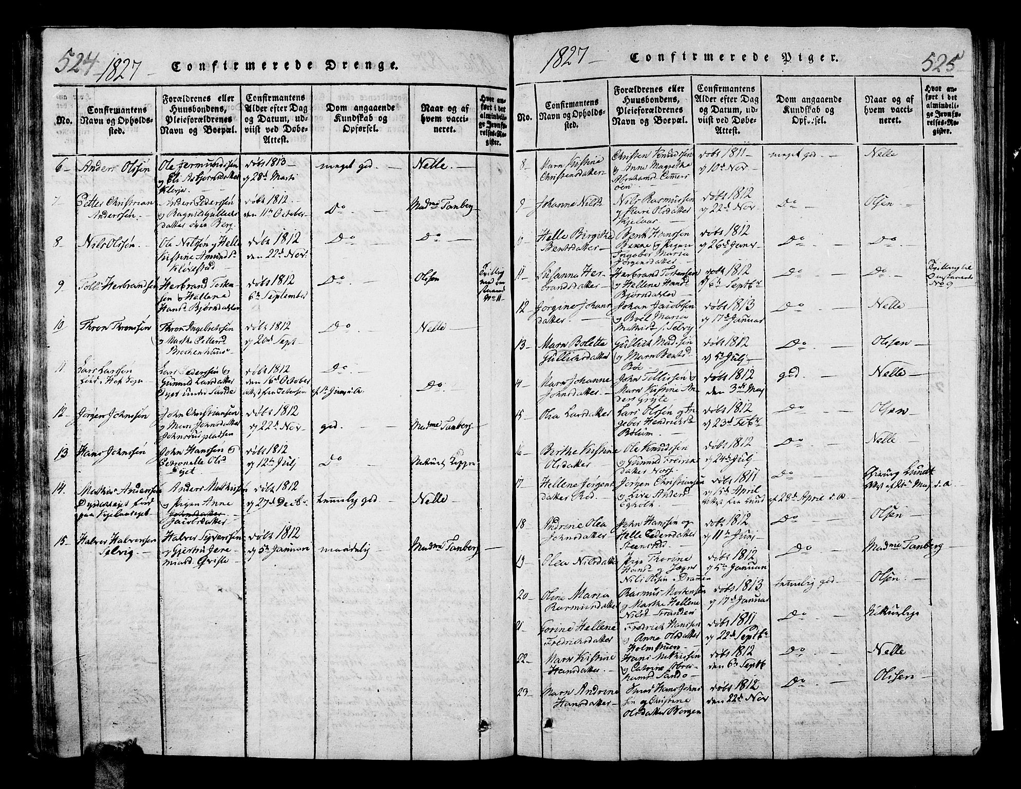 Sande Kirkebøker, SAKO/A-53/G/Ga/L0001: Parish register (copy) no. 1, 1814-1847, p. 524-525