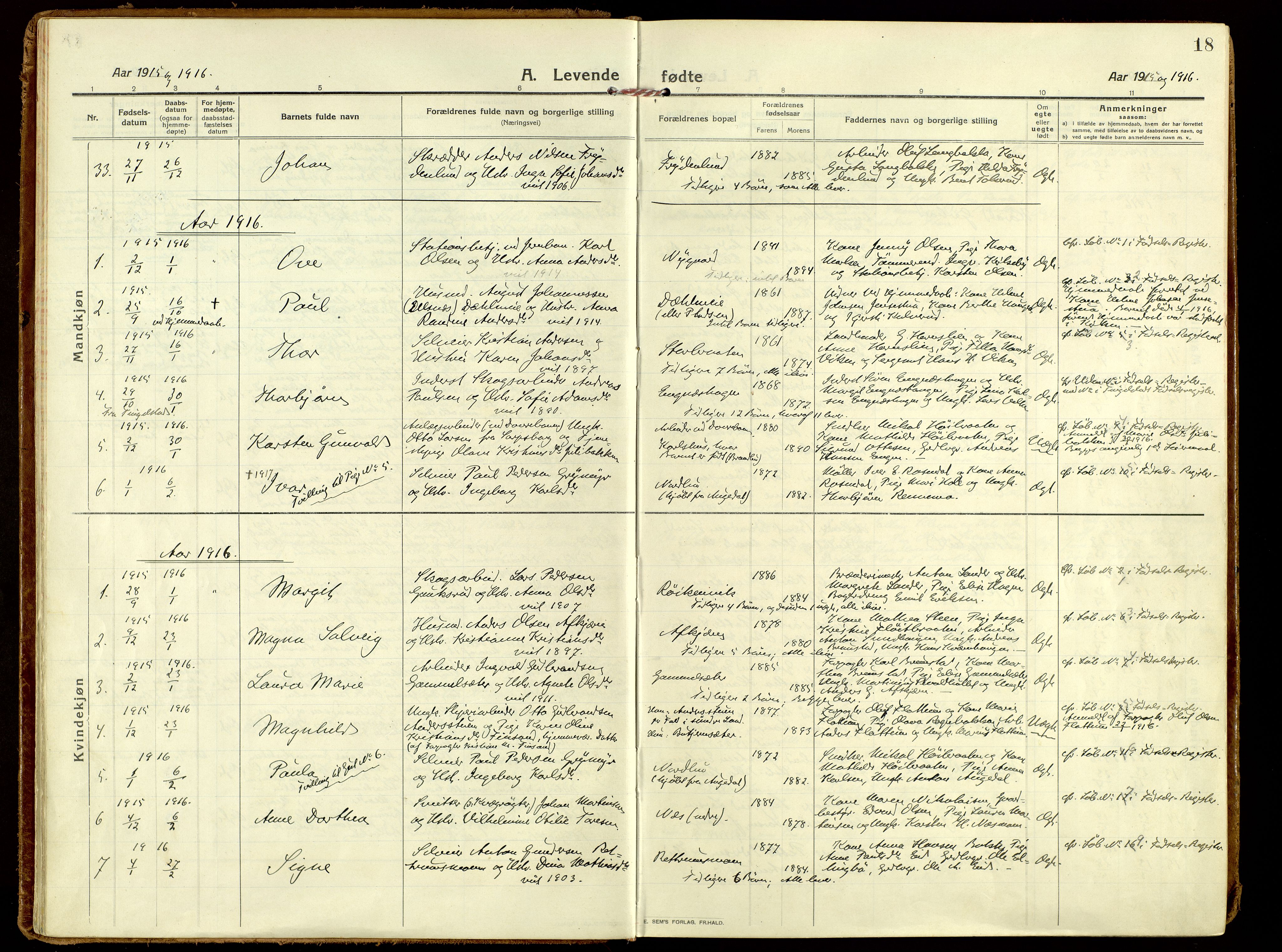 Brandbu prestekontor, AV/SAH-PREST-114/H/Ha/Haa/L0004: Parish register (official) no. 4, 1913-1923, p. 18