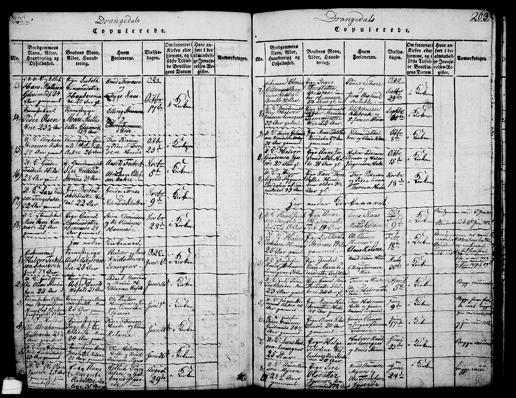 Drangedal kirkebøker, SAKO/A-258/G/Ga/L0001: Parish register (copy) no. I 1 /1, 1814-1856, p. 203