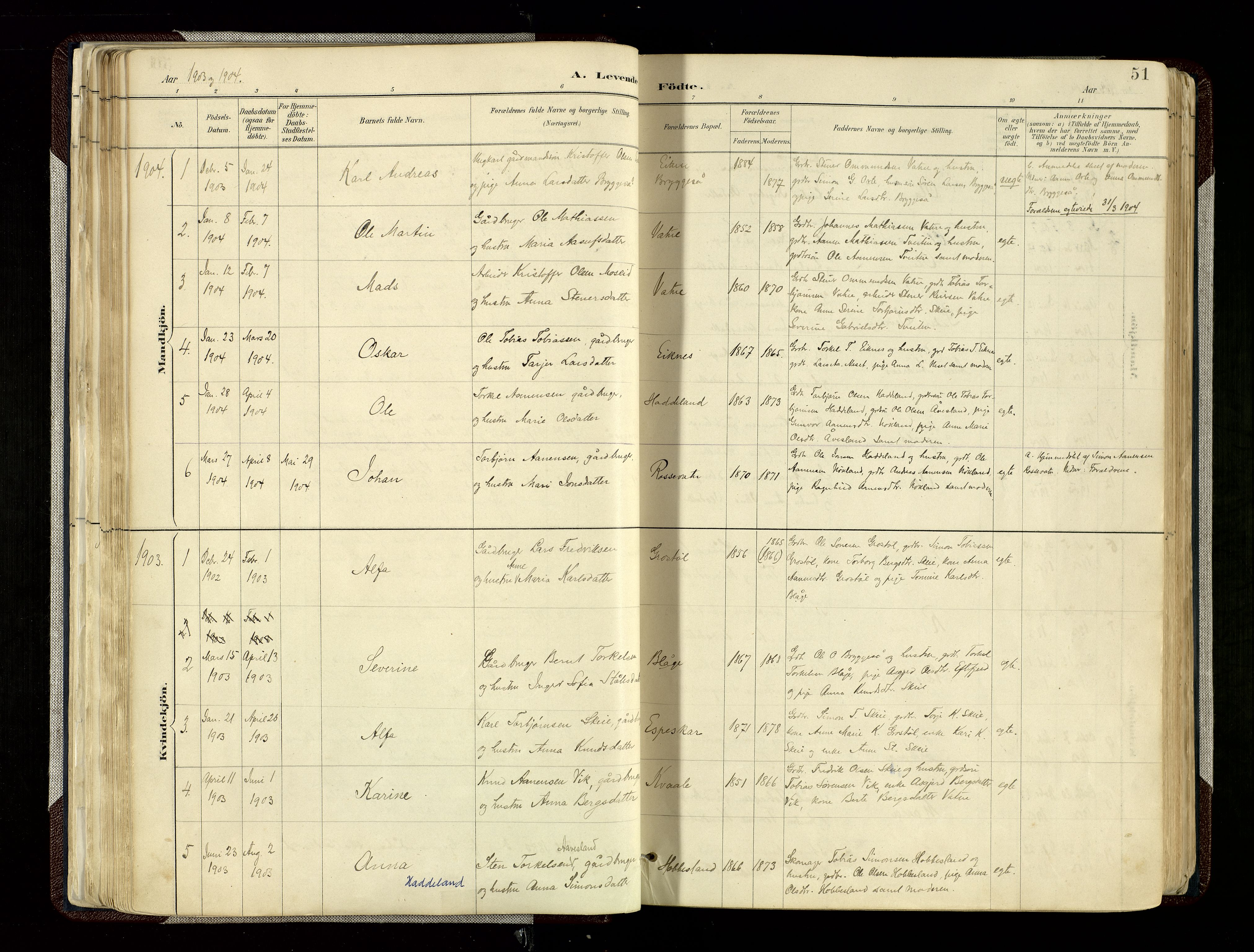 Hægebostad sokneprestkontor, SAK/1111-0024/F/Fa/Fab/L0004: Parish register (official) no. A 4, 1887-1929, p. 51