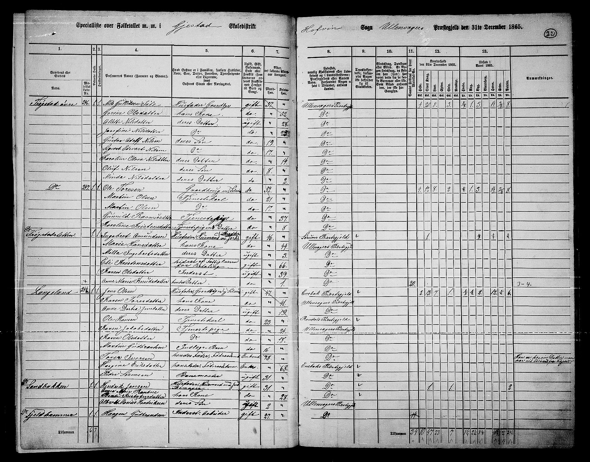 RA, 1865 census for Ullensaker, 1865, p. 196
