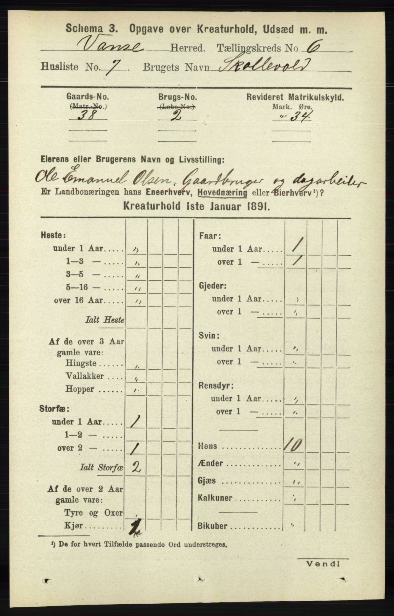 RA, 1891 census for 1041 Vanse, 1891, p. 8977