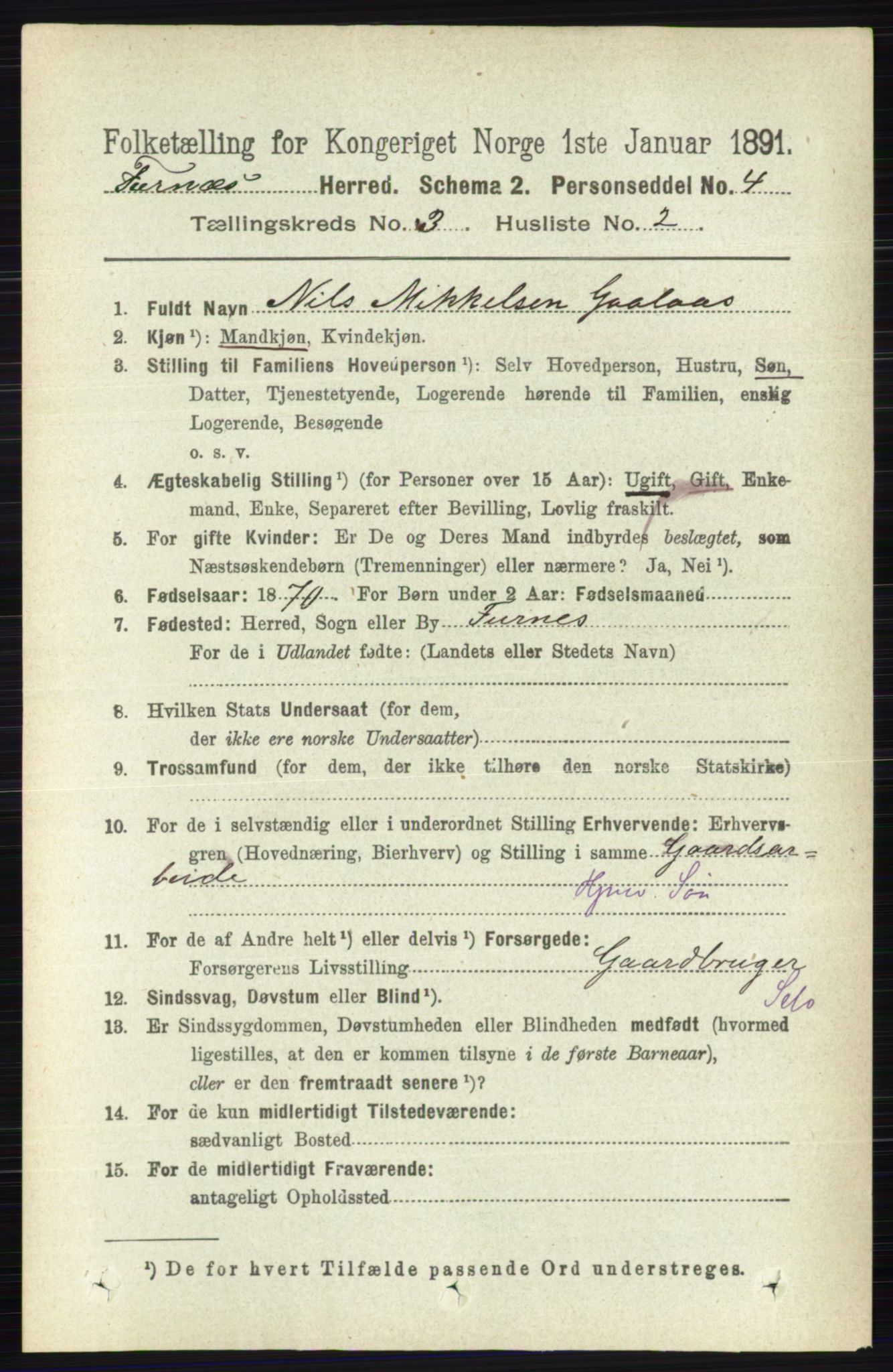 RA, Census 1891 for 0413 Furnes herred, 1891, p. 1645