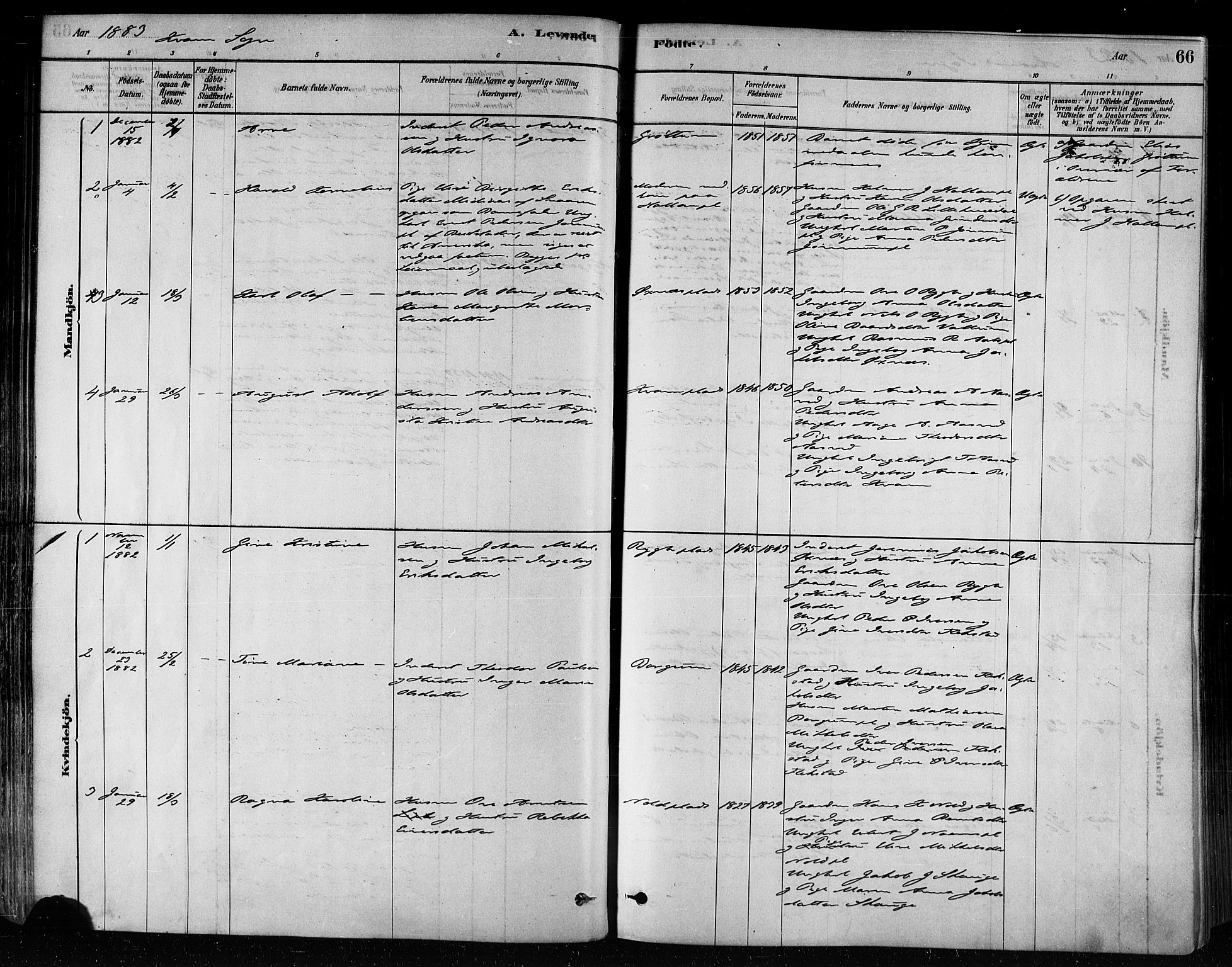 Ministerialprotokoller, klokkerbøker og fødselsregistre - Nord-Trøndelag, SAT/A-1458/746/L0449: Parish register (official) no. 746A07 /2, 1878-1899, p. 66