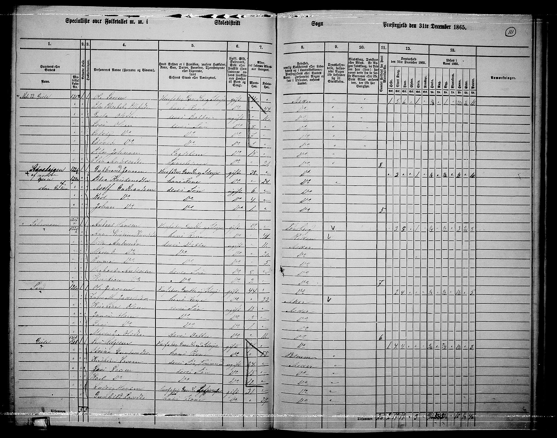 RA, 1865 census for Asker, 1865, p. 107