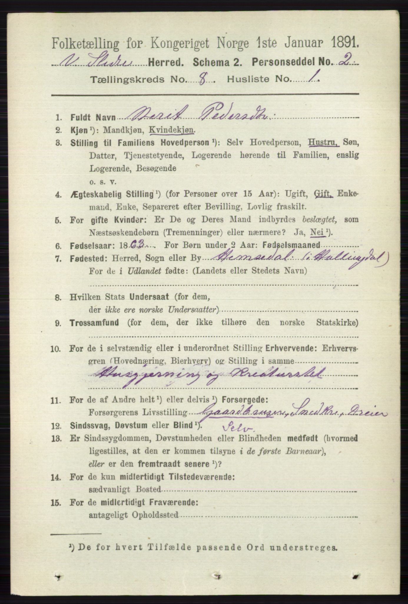 RA, 1891 census for 0543 Vestre Slidre, 1891, p. 2985