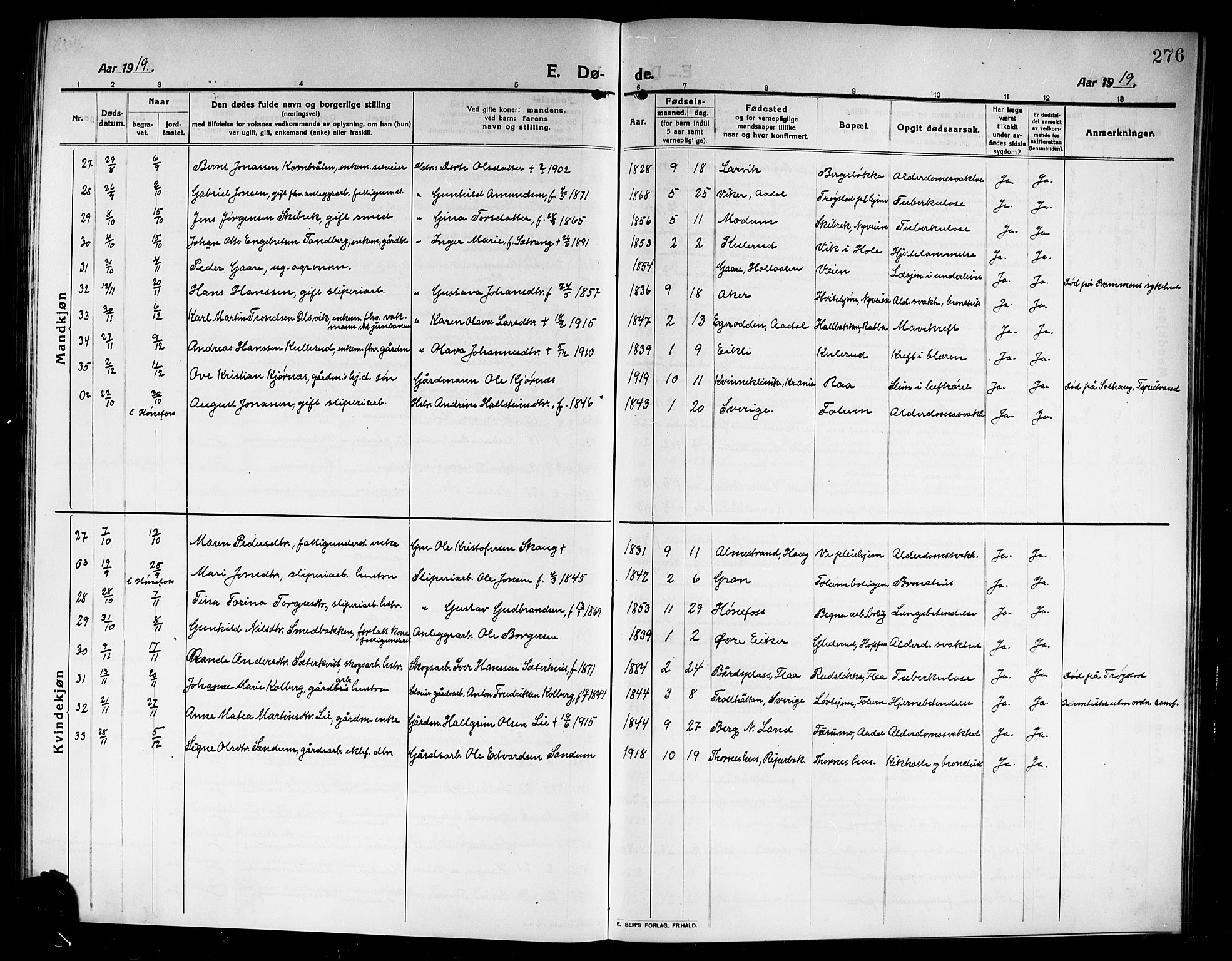 Norderhov kirkebøker, SAKO/A-237/G/Ga/L0009: Parish register (copy) no. I 9, 1913-1920, p. 276