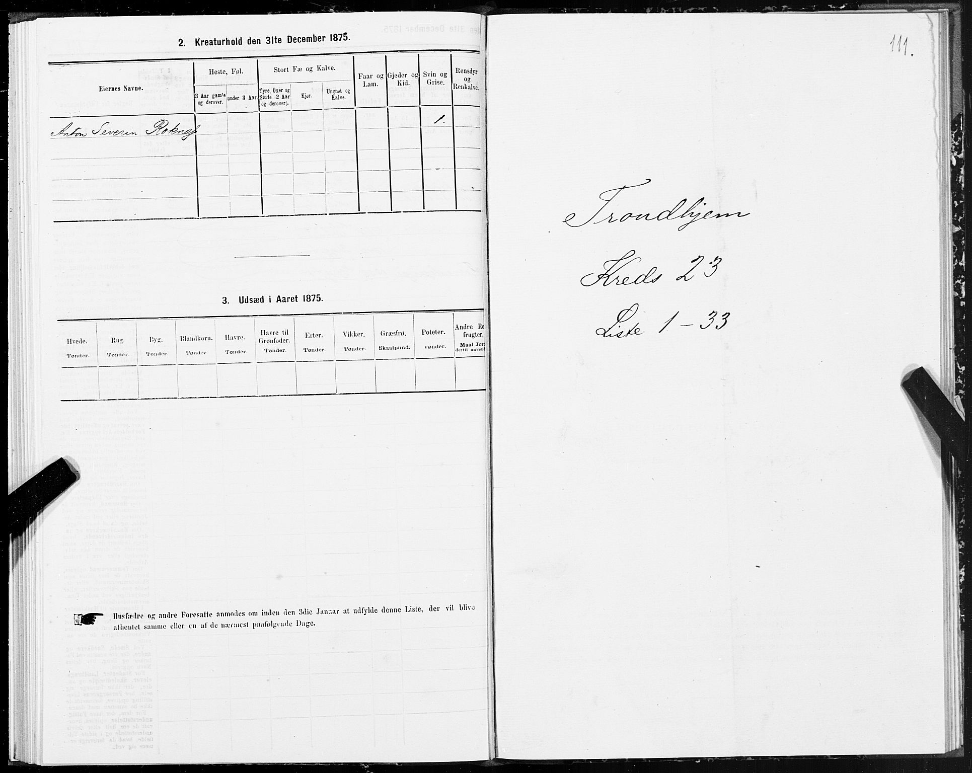 SAT, 1875 census for 1601 Trondheim, 1875, p. 12111