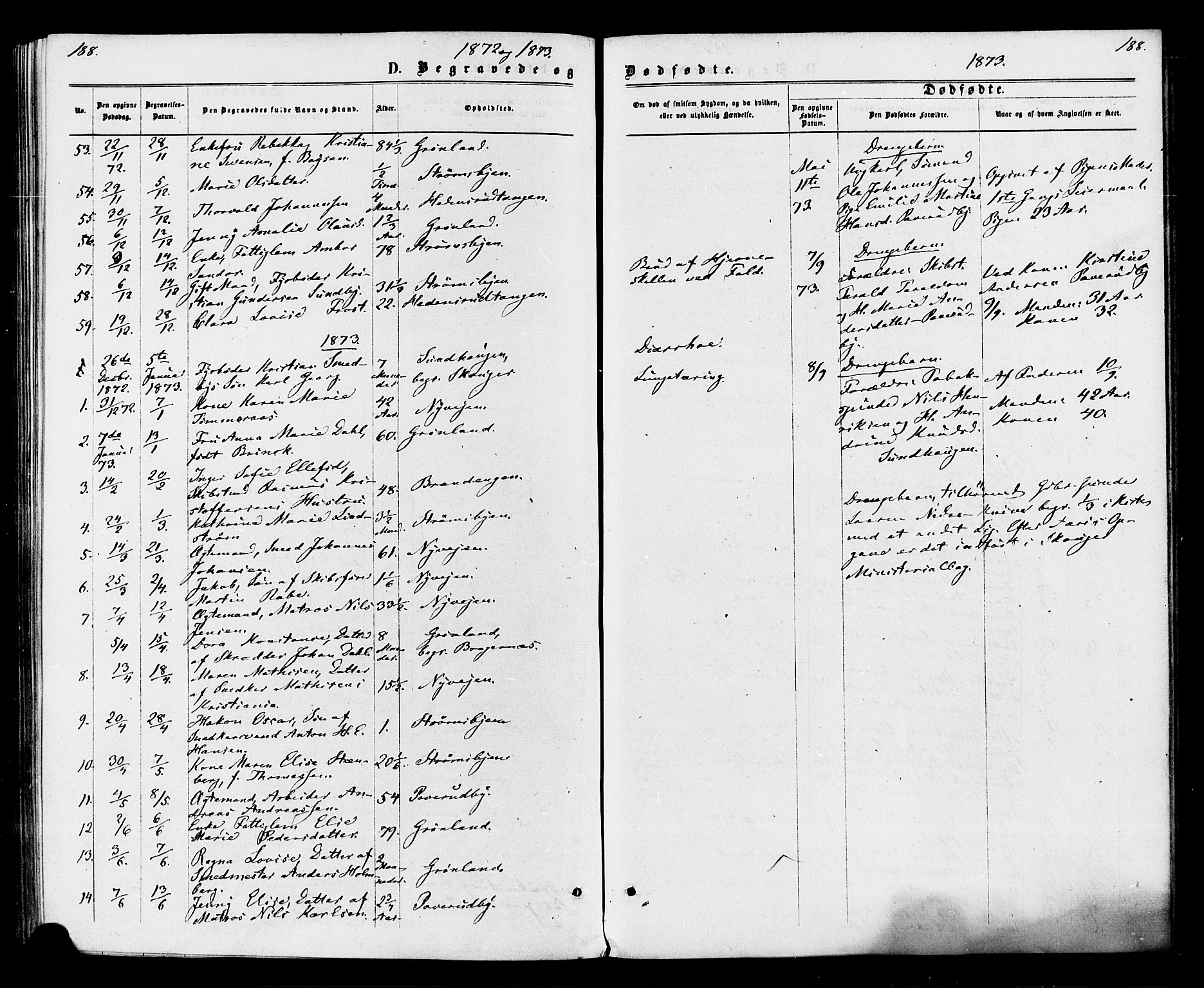 Strømsø kirkebøker, AV/SAKO-A-246/F/Fa/L0020: Parish register (official) no. I 20, 1870-1878, p. 188