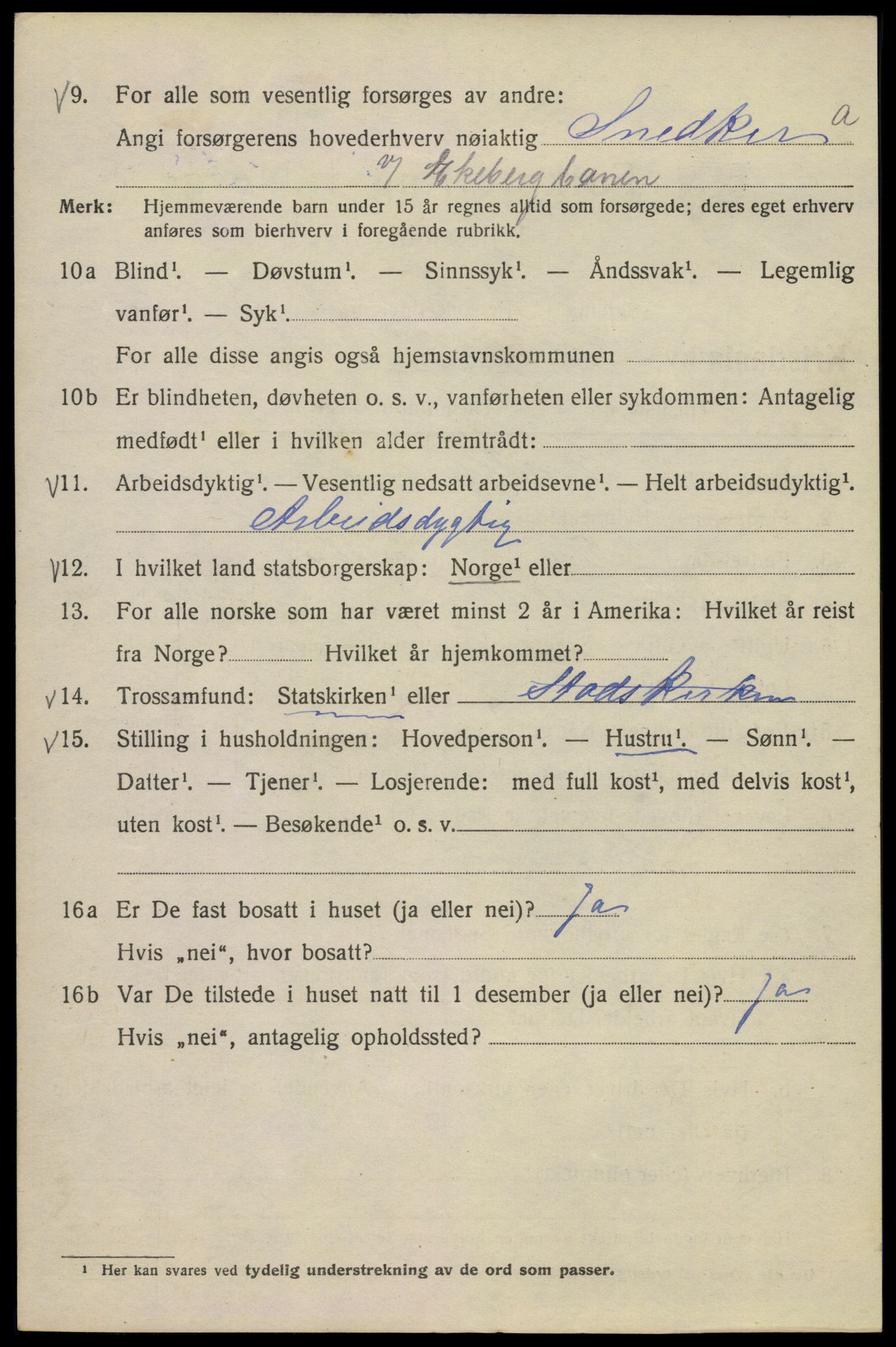 SAO, 1920 census for Kristiania, 1920, p. 340384