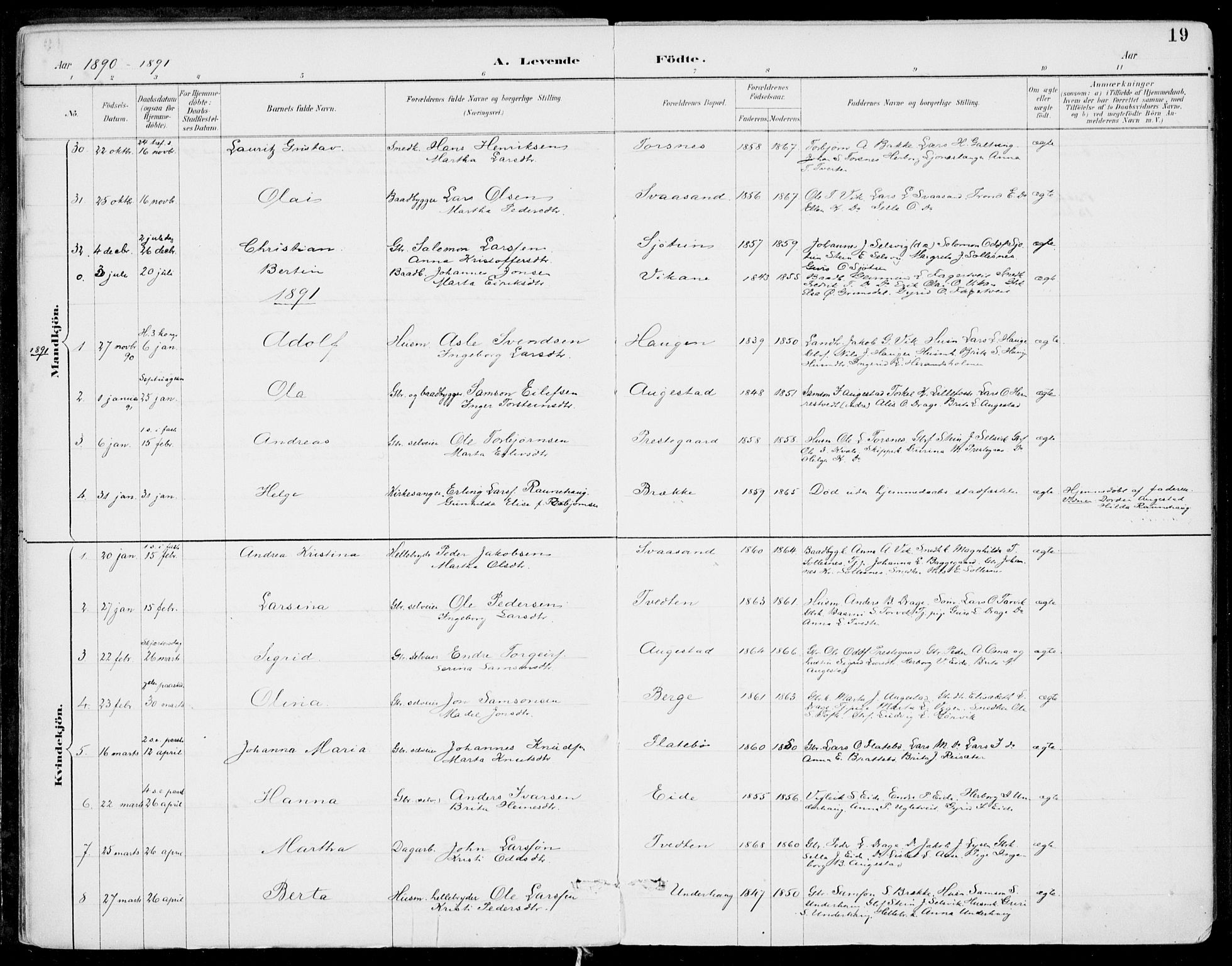 Strandebarm sokneprestembete, SAB/A-78401/H/Haa: Parish register (official) no. E  1, 1886-1908, p. 19