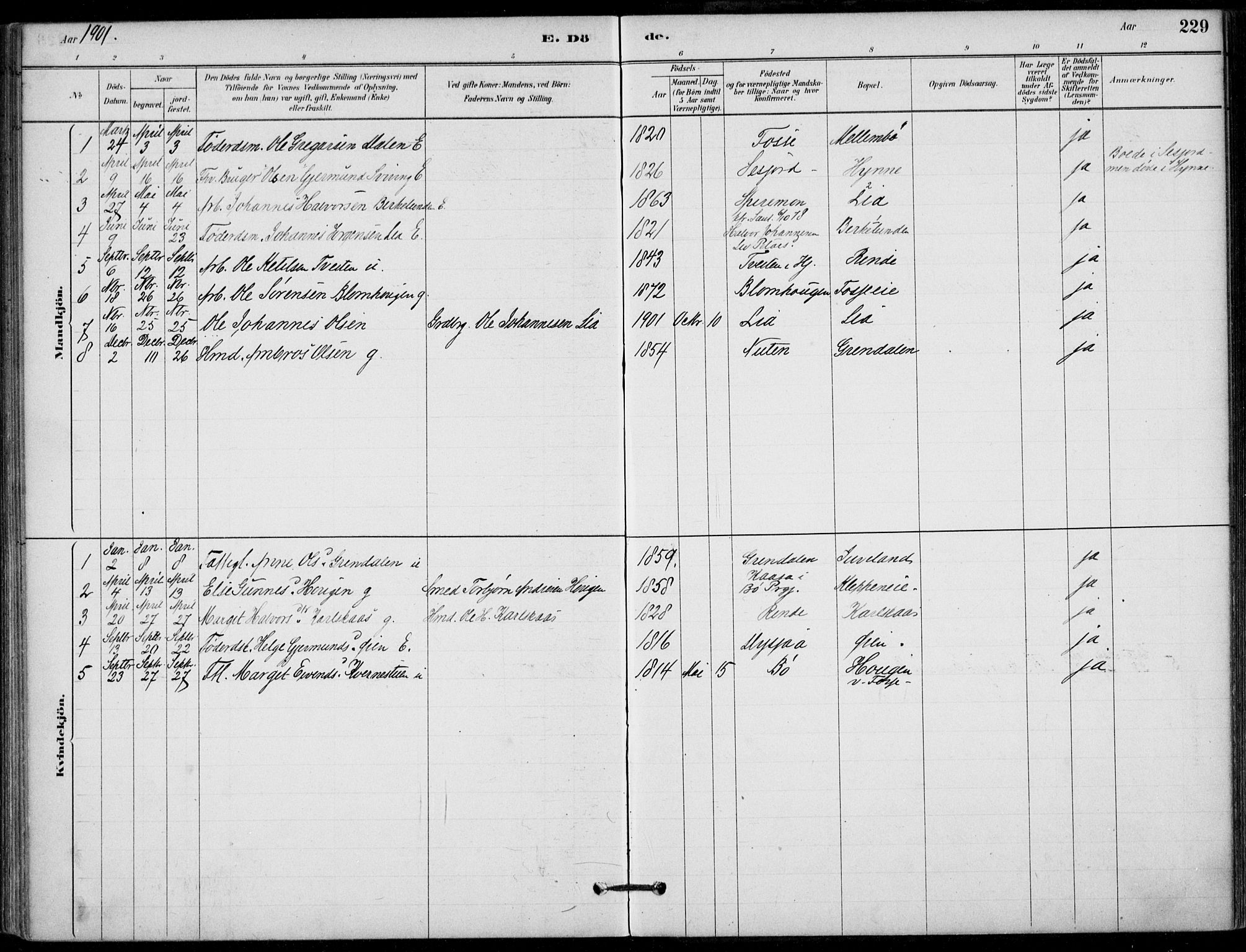 Hjartdal kirkebøker, AV/SAKO-A-270/F/Fb/L0002: Parish register (official) no. II 2, 1880-1932, p. 229