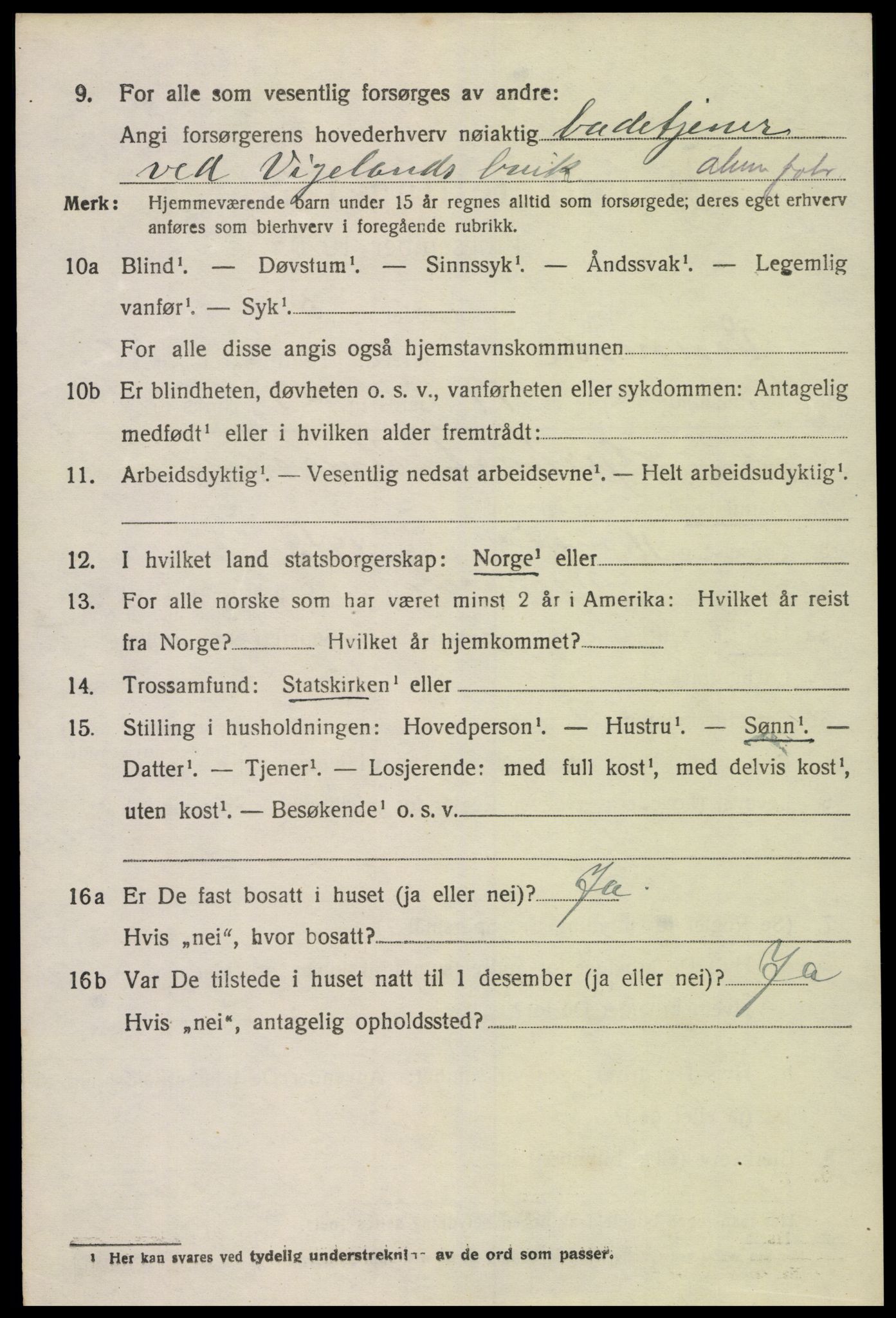 SAK, 1920 census for Vennesla, 1920, p. 4539