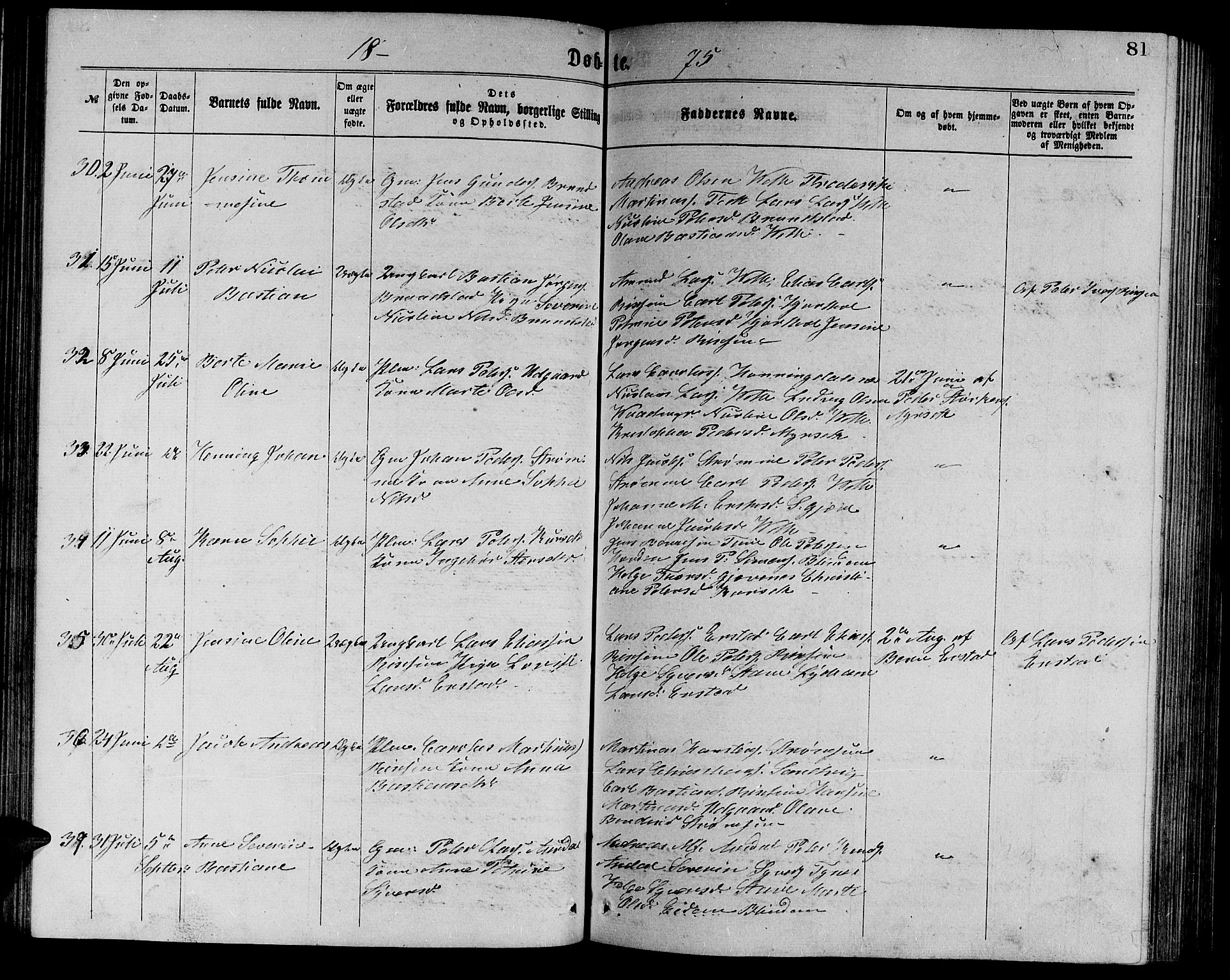 Ministerialprotokoller, klokkerbøker og fødselsregistre - Møre og Romsdal, AV/SAT-A-1454/523/L0338: Parish register (copy) no. 523C01, 1865-1877, p. 81