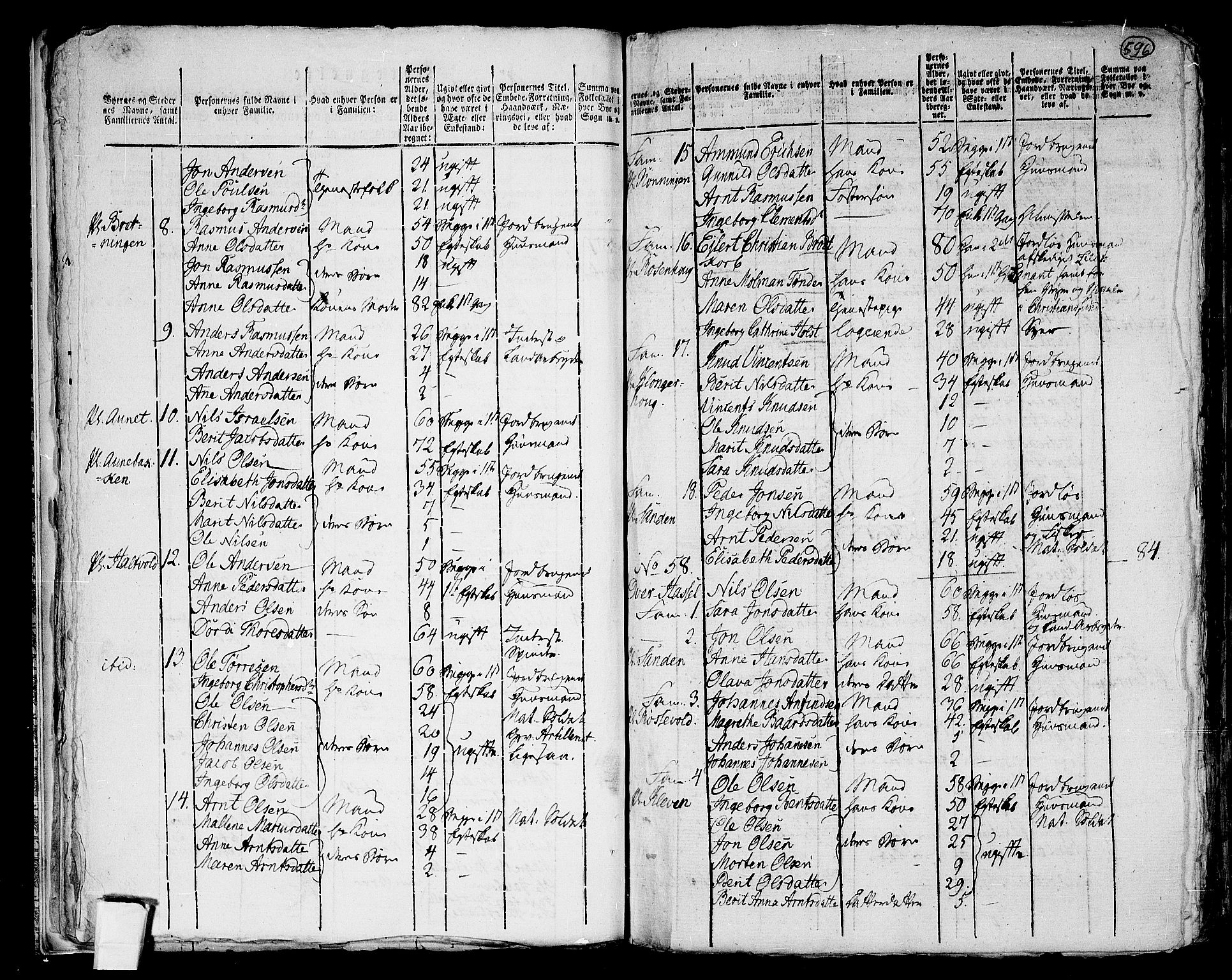 RA, 1801 census for 1625P Stadsbygd, 1801, p. 595b-596a