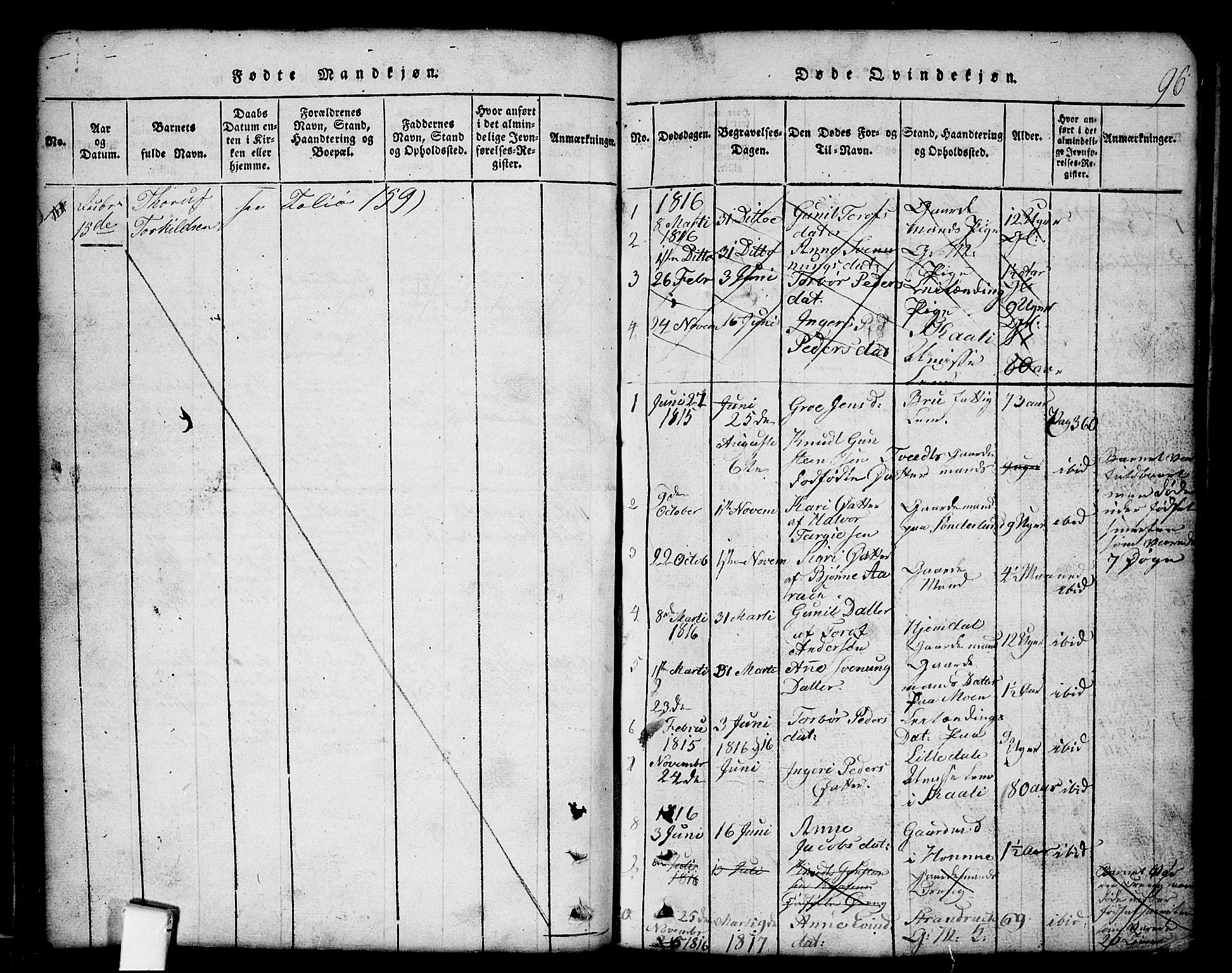 Nissedal kirkebøker, SAKO/A-288/G/Gb/L0001: Parish register (copy) no. II 1, 1814-1862, p. 96