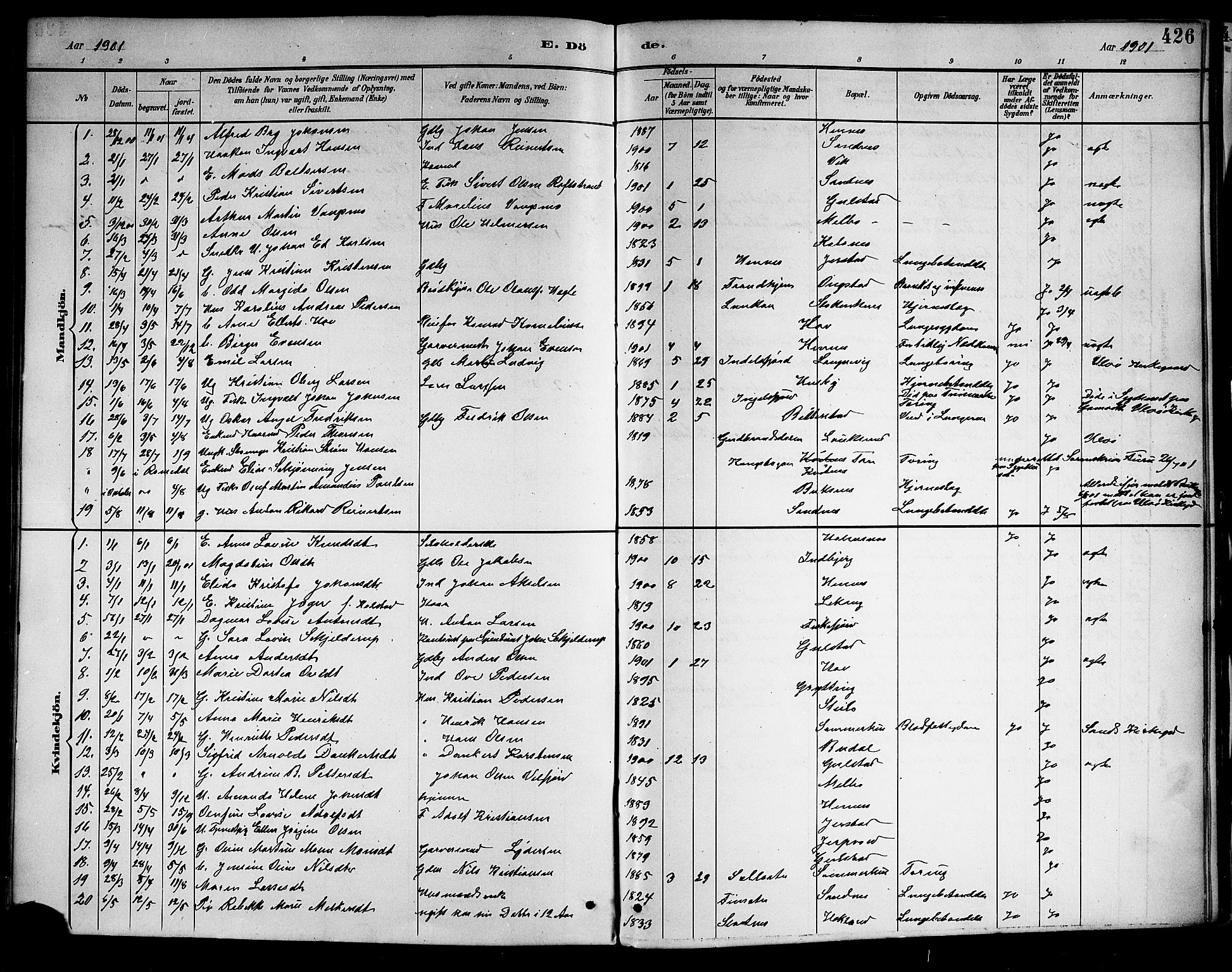 Ministerialprotokoller, klokkerbøker og fødselsregistre - Nordland, AV/SAT-A-1459/888/L1268: Parish register (copy) no. 888C06, 1891-1908, p. 426