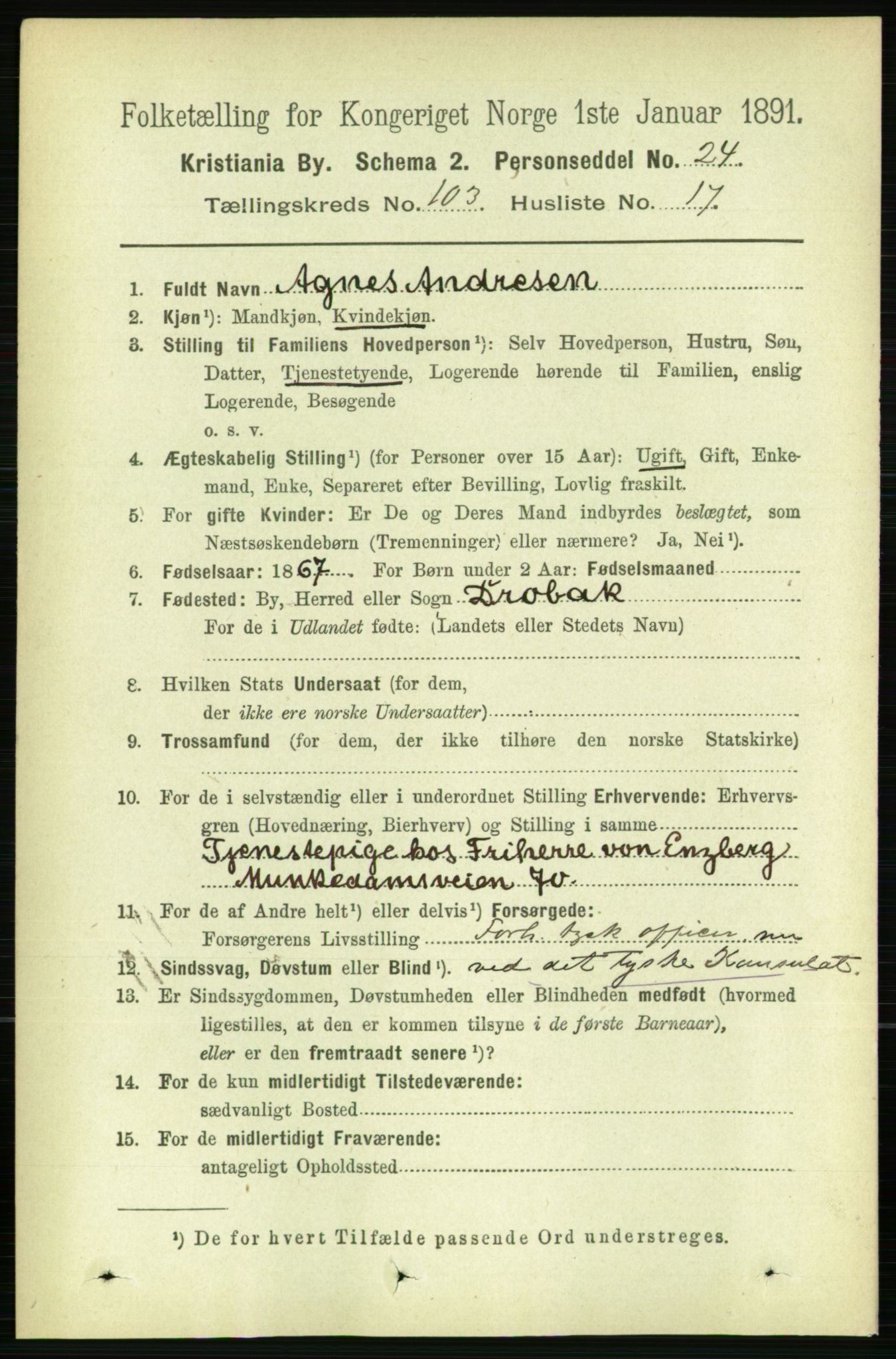 RA, 1891 census for 0301 Kristiania, 1891, p. 51702