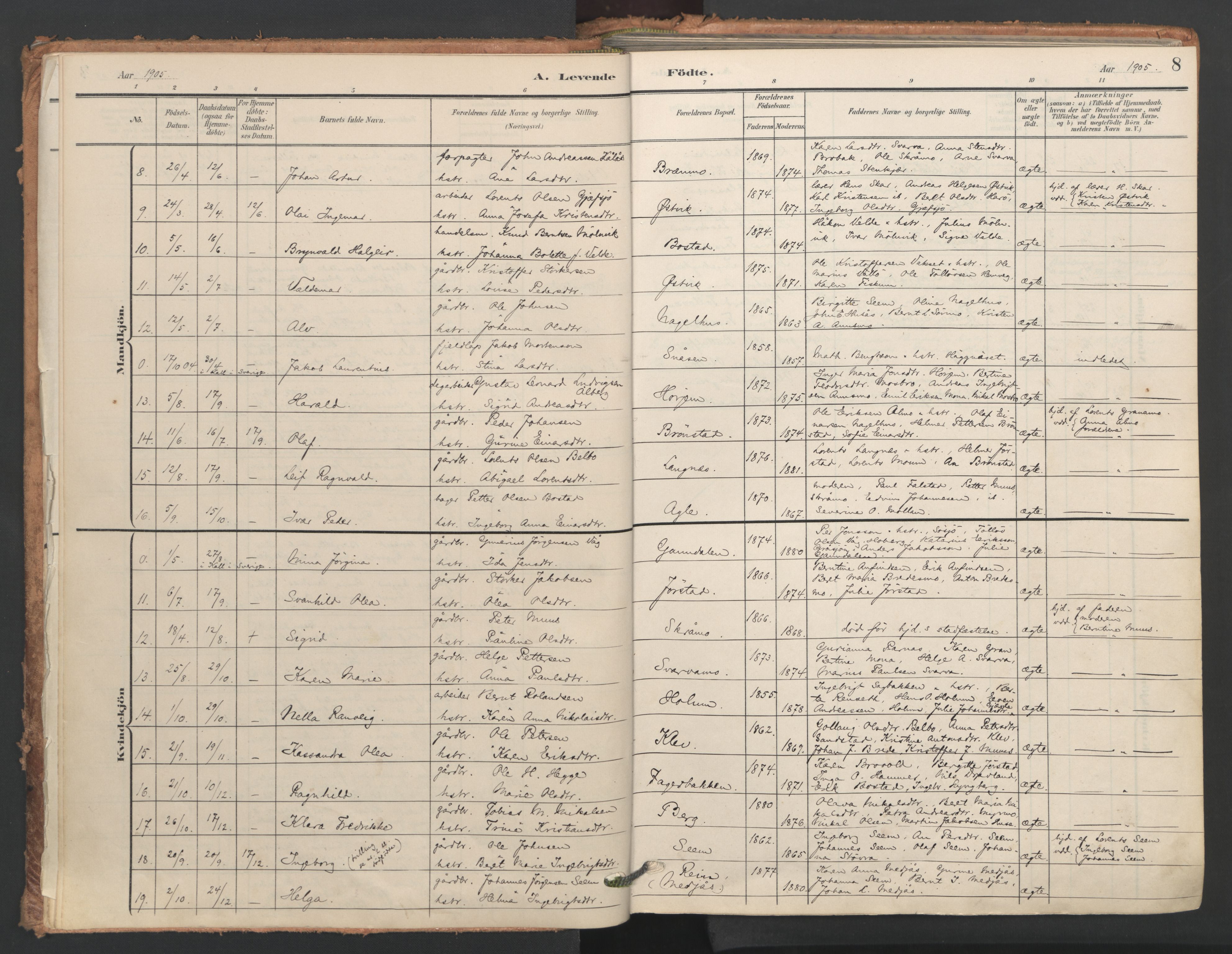 Ministerialprotokoller, klokkerbøker og fødselsregistre - Nord-Trøndelag, SAT/A-1458/749/L0477: Parish register (official) no. 749A11, 1902-1927, p. 8