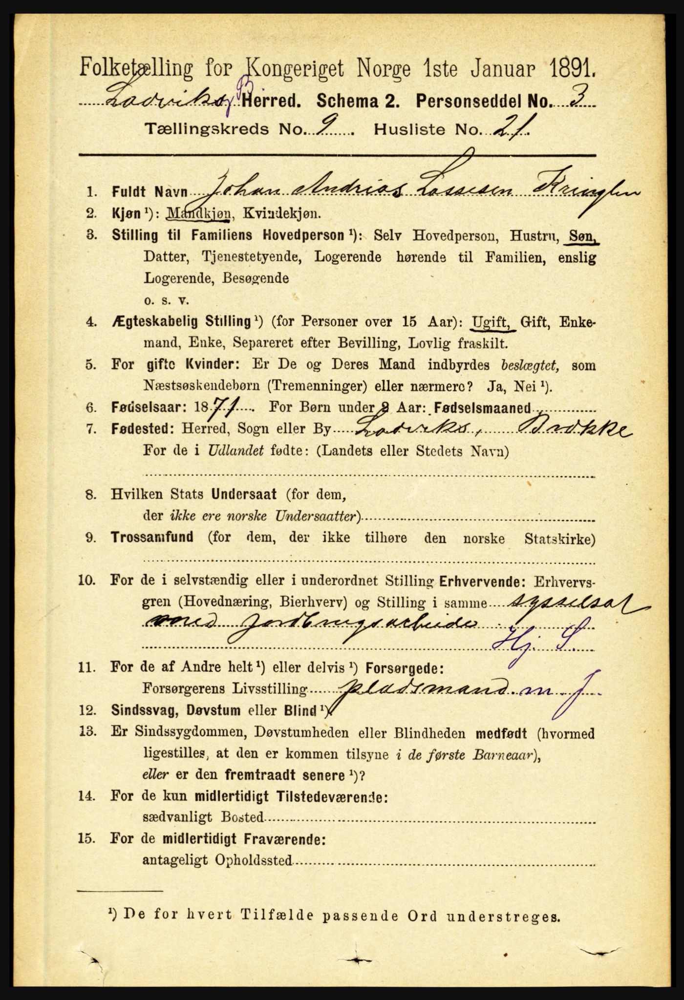 RA, 1891 census for 1415 Lavik og Brekke, 1891, p. 1945