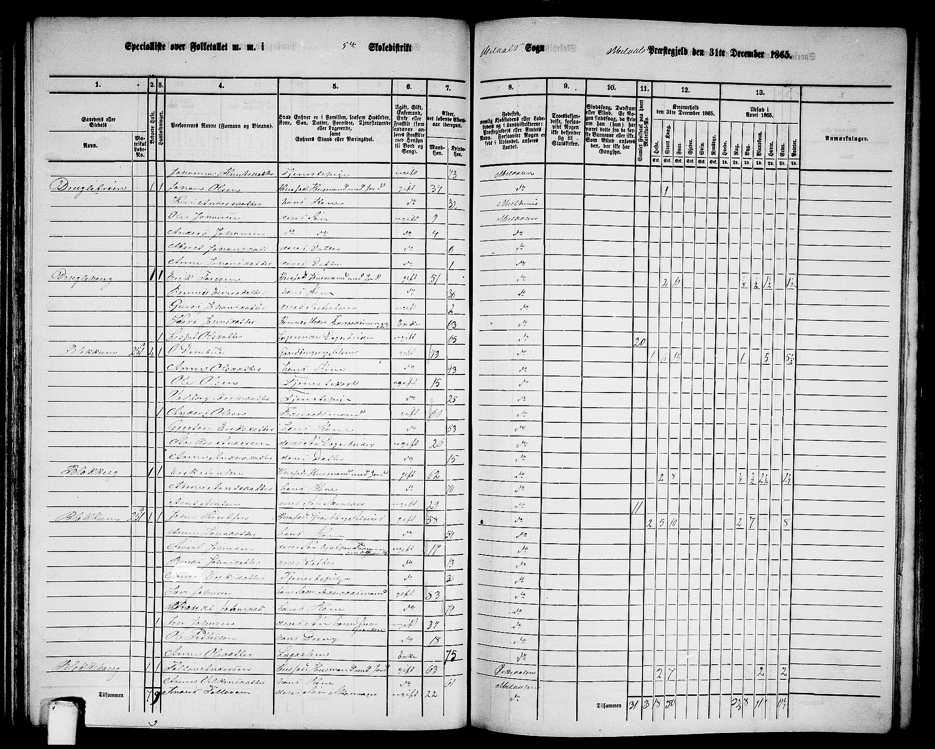 RA, 1865 census for Meldal, 1865, p. 115