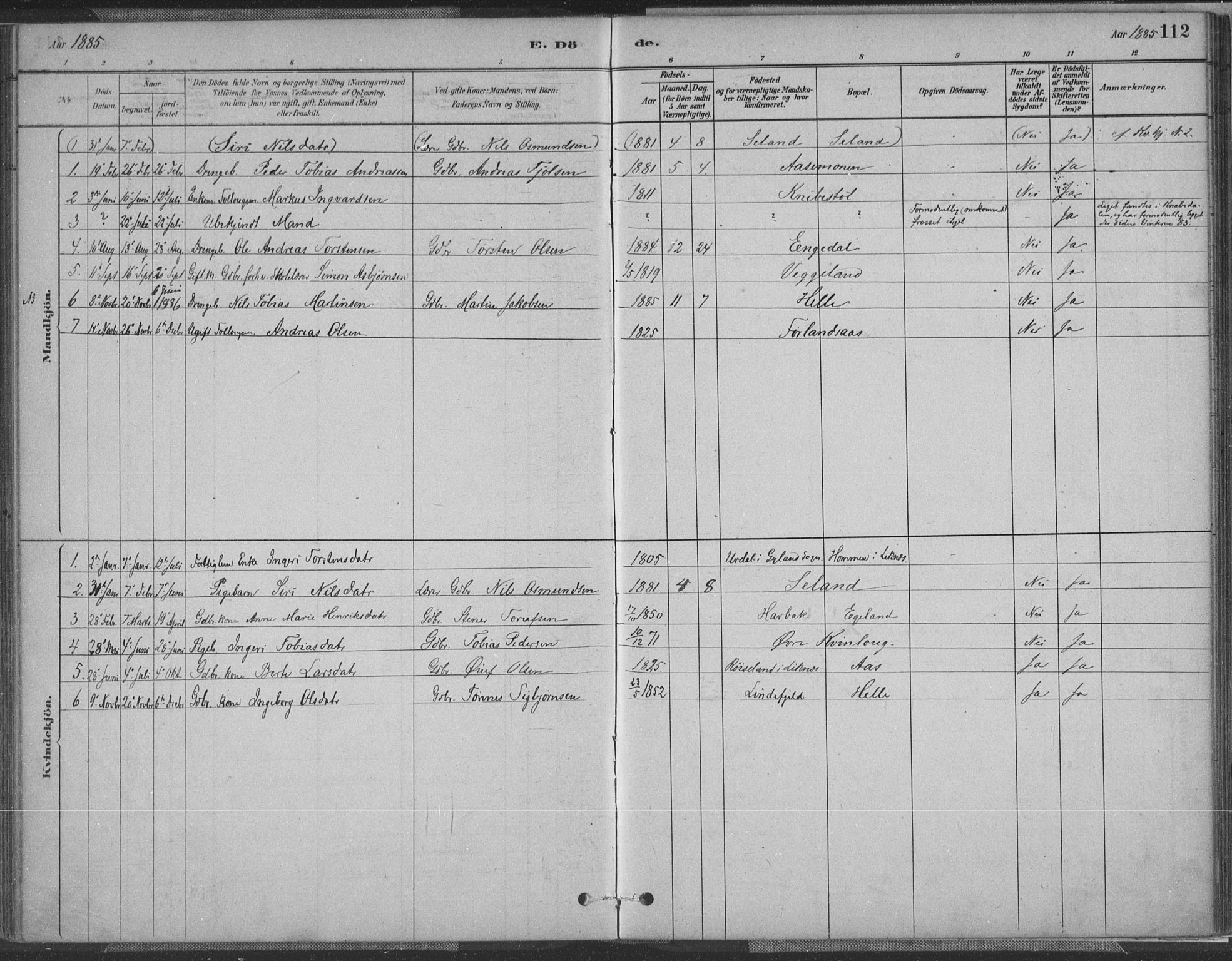 Fjotland sokneprestkontor, SAK/1111-0010/F/Fa/L0002: Parish register (official) no. A 2, 1880-1898, p. 112
