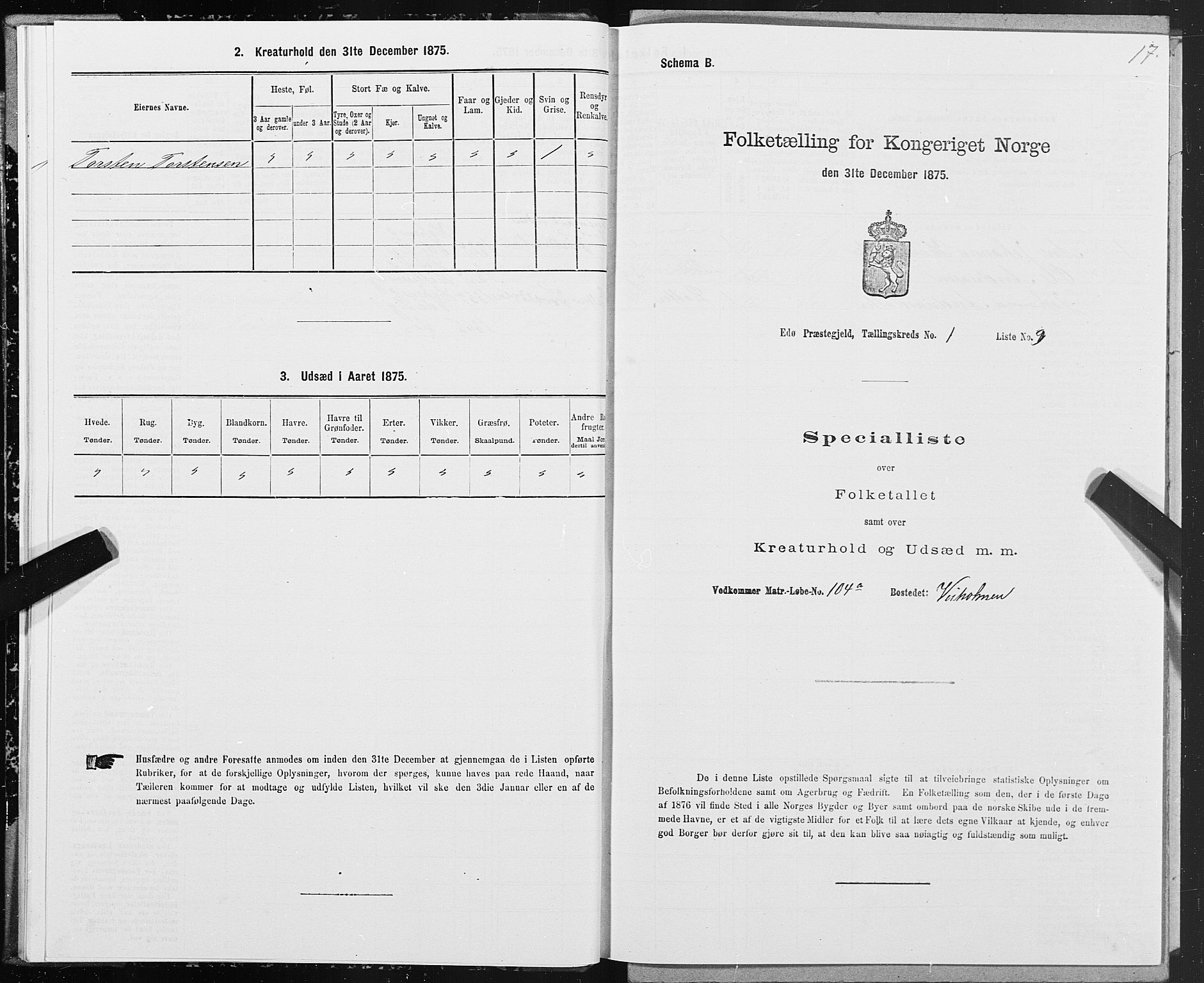 SAT, 1875 census for 1573P Edøy, 1875, p. 1017