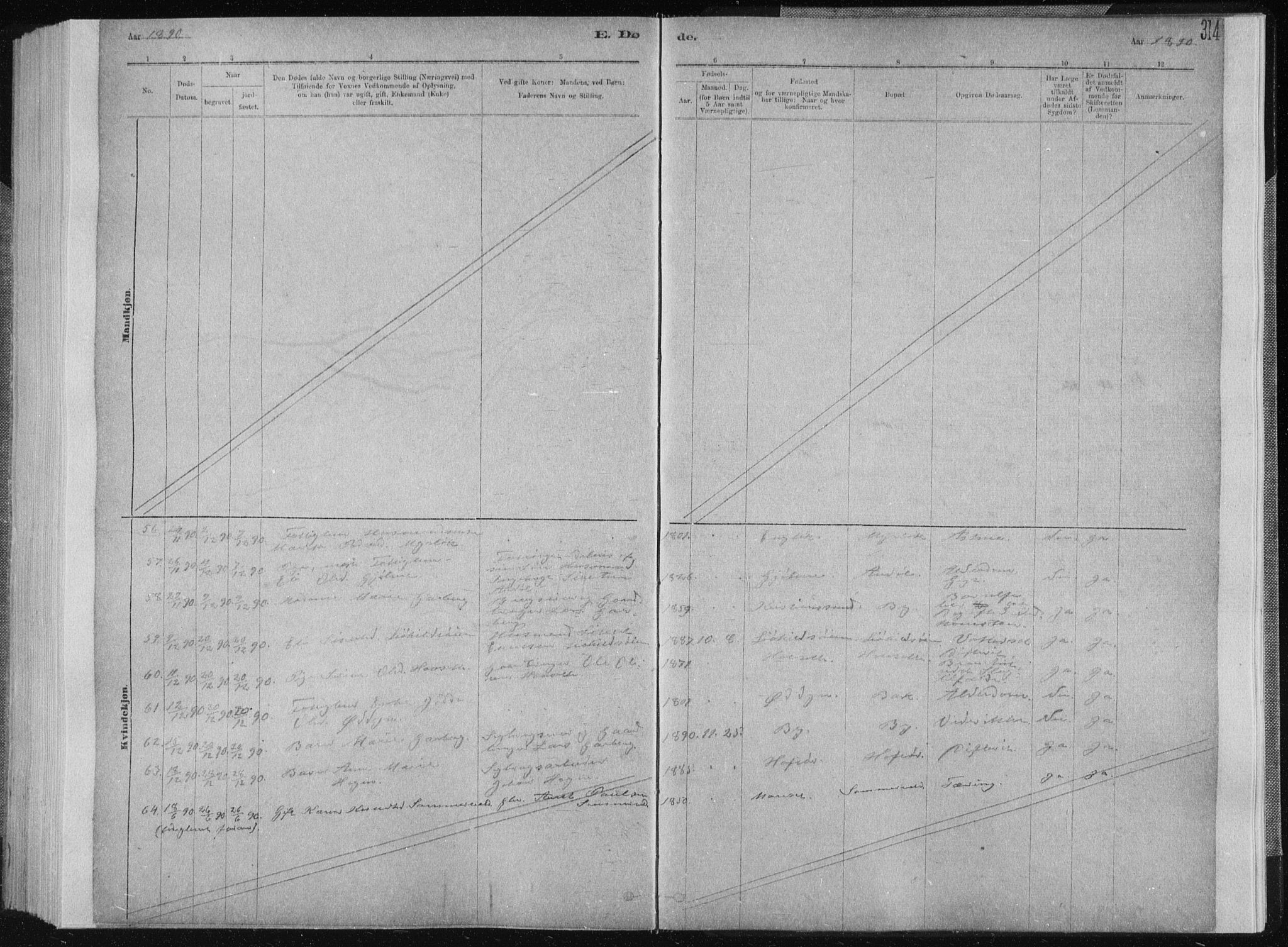 Ministerialprotokoller, klokkerbøker og fødselsregistre - Sør-Trøndelag, AV/SAT-A-1456/668/L0818: Parish register (copy) no. 668C07, 1885-1898, p. 314