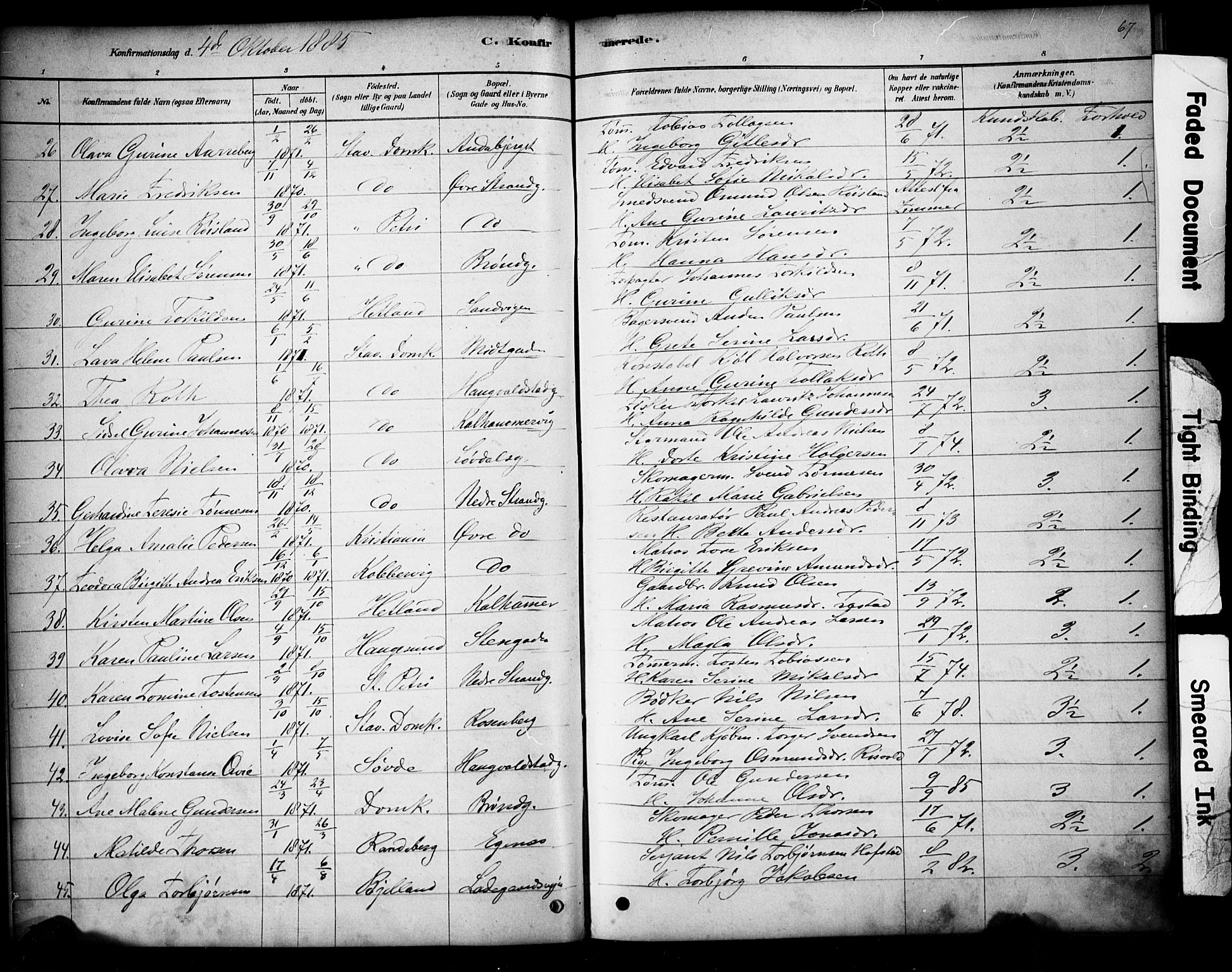 Domkirken sokneprestkontor, AV/SAST-A-101812/001/30/30BA/L0028: Parish register (official) no. A 27, 1878-1896, p. 67