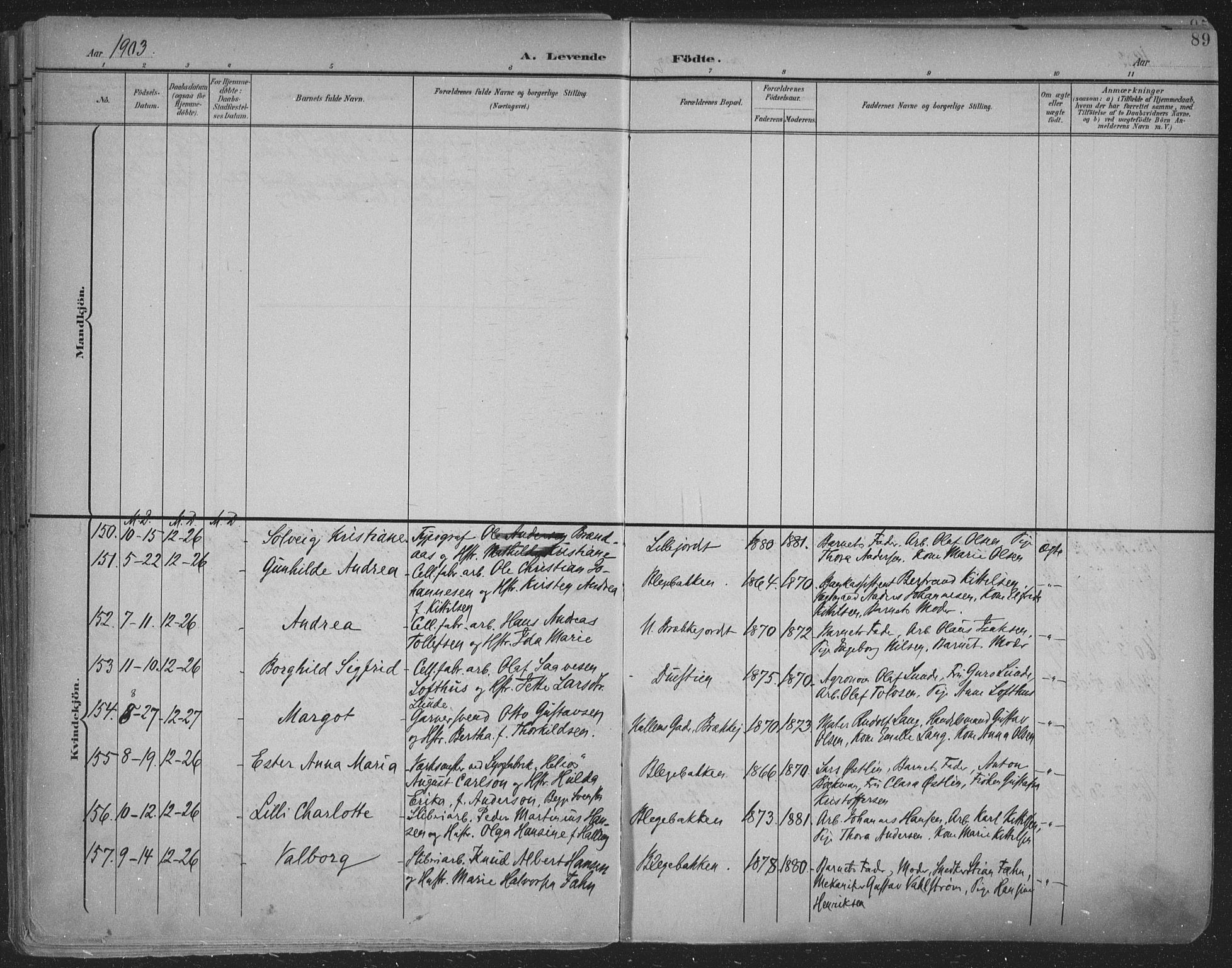 Skien kirkebøker, SAKO/A-302/F/Fa/L0011: Parish register (official) no. 11, 1900-1907, p. 89