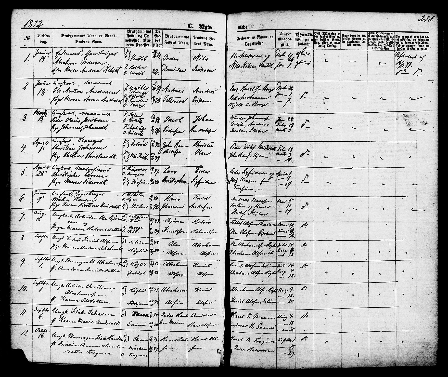 Gjerpen kirkebøker, SAKO/A-265/F/Fa/L0009: Parish register (official) no. I 9, 1872-1885, p. 238