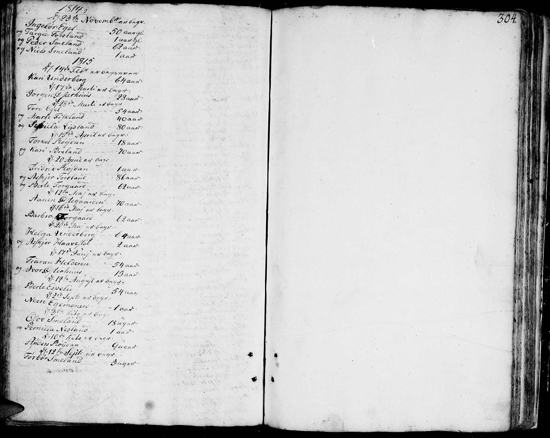 Bjelland sokneprestkontor, SAK/1111-0005/F/Fa/Faa/L0001: Parish register (official) no. A 1 /4, 1793-1815, p. 304