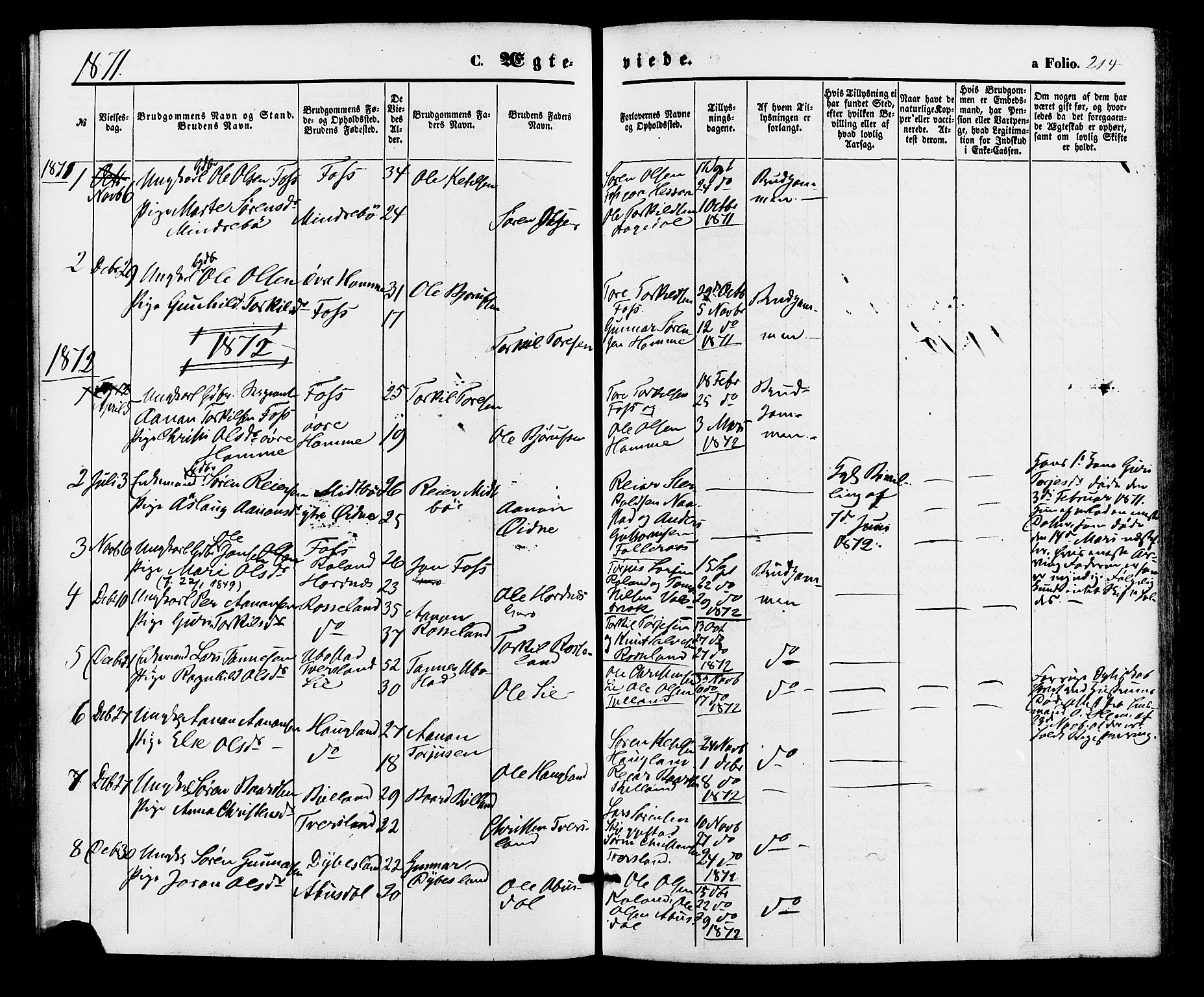 Bjelland sokneprestkontor, SAK/1111-0005/F/Fa/Faa/L0003: Parish register (official) no. A 3, 1867-1887, p. 214