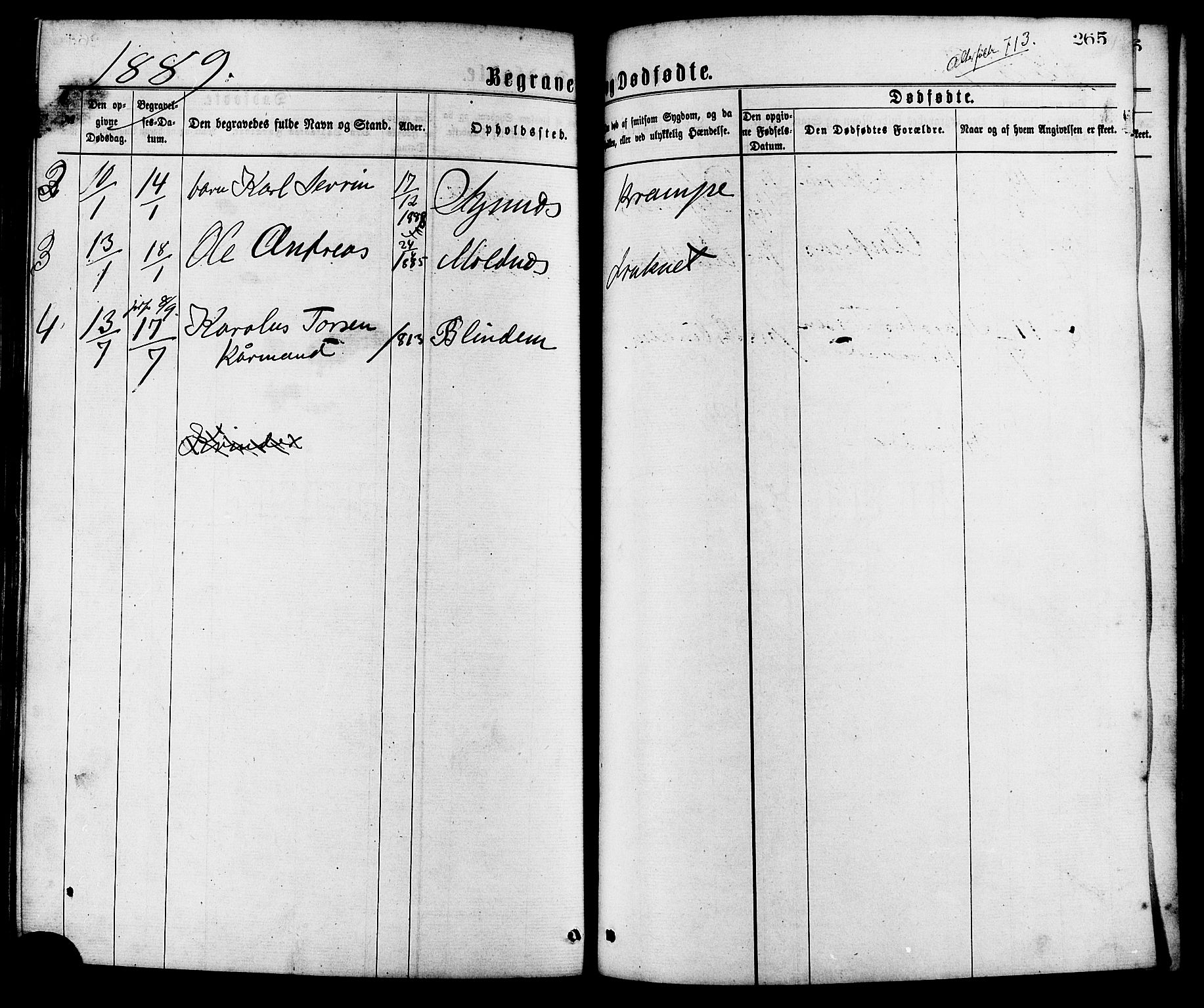 Ministerialprotokoller, klokkerbøker og fødselsregistre - Møre og Romsdal, AV/SAT-A-1454/537/L0519: Parish register (official) no. 537A03, 1876-1889, p. 265