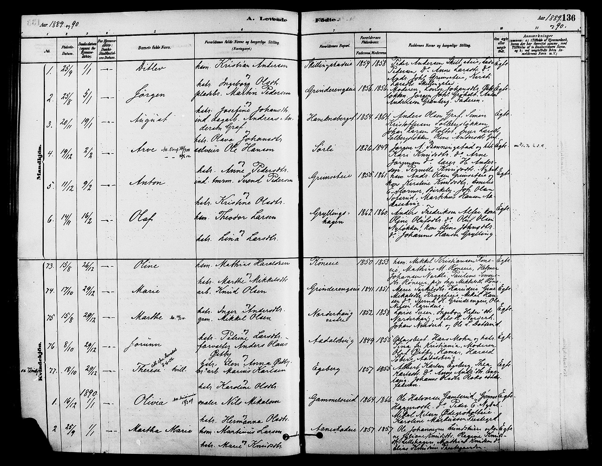 Løten prestekontor, SAH/PREST-022/K/Ka/L0009: Parish register (official) no. 9, 1878-1891, p. 136