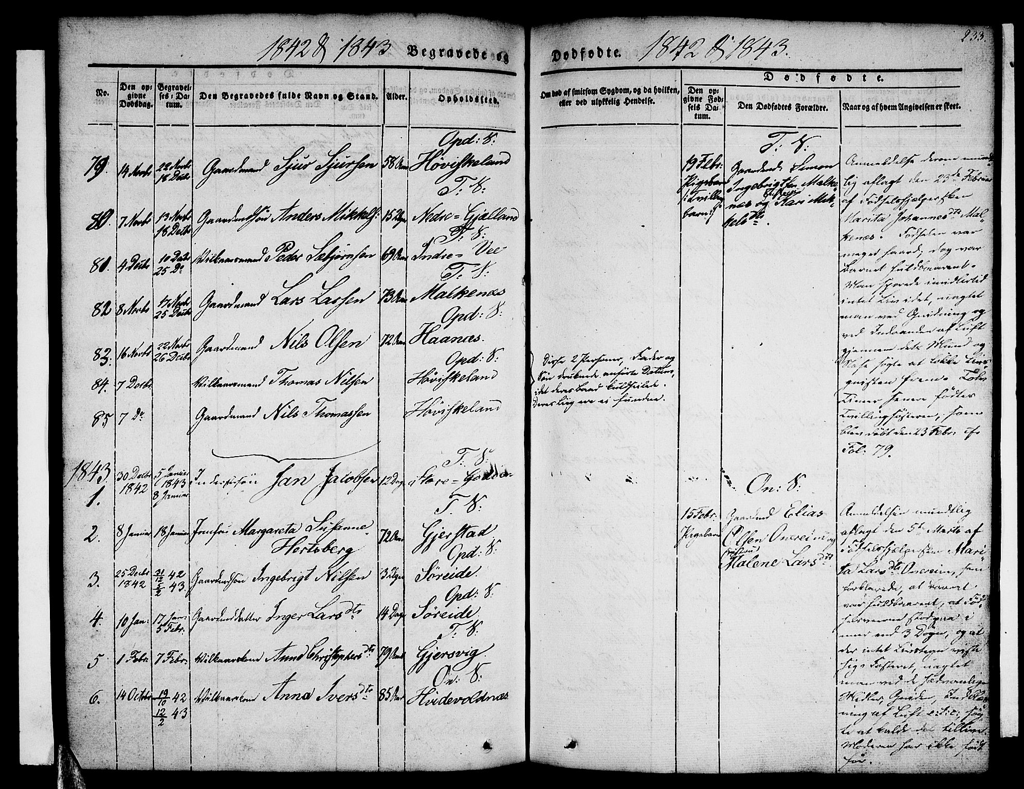 Tysnes sokneprestembete, AV/SAB-A-78601/H/Haa: Parish register (official) no. A 9, 1837-1848, p. 233