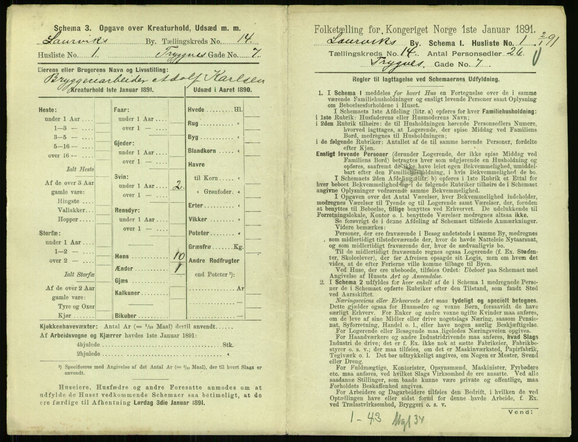 RA, 1891 census for 0707 Larvik, 1891, p. 1613