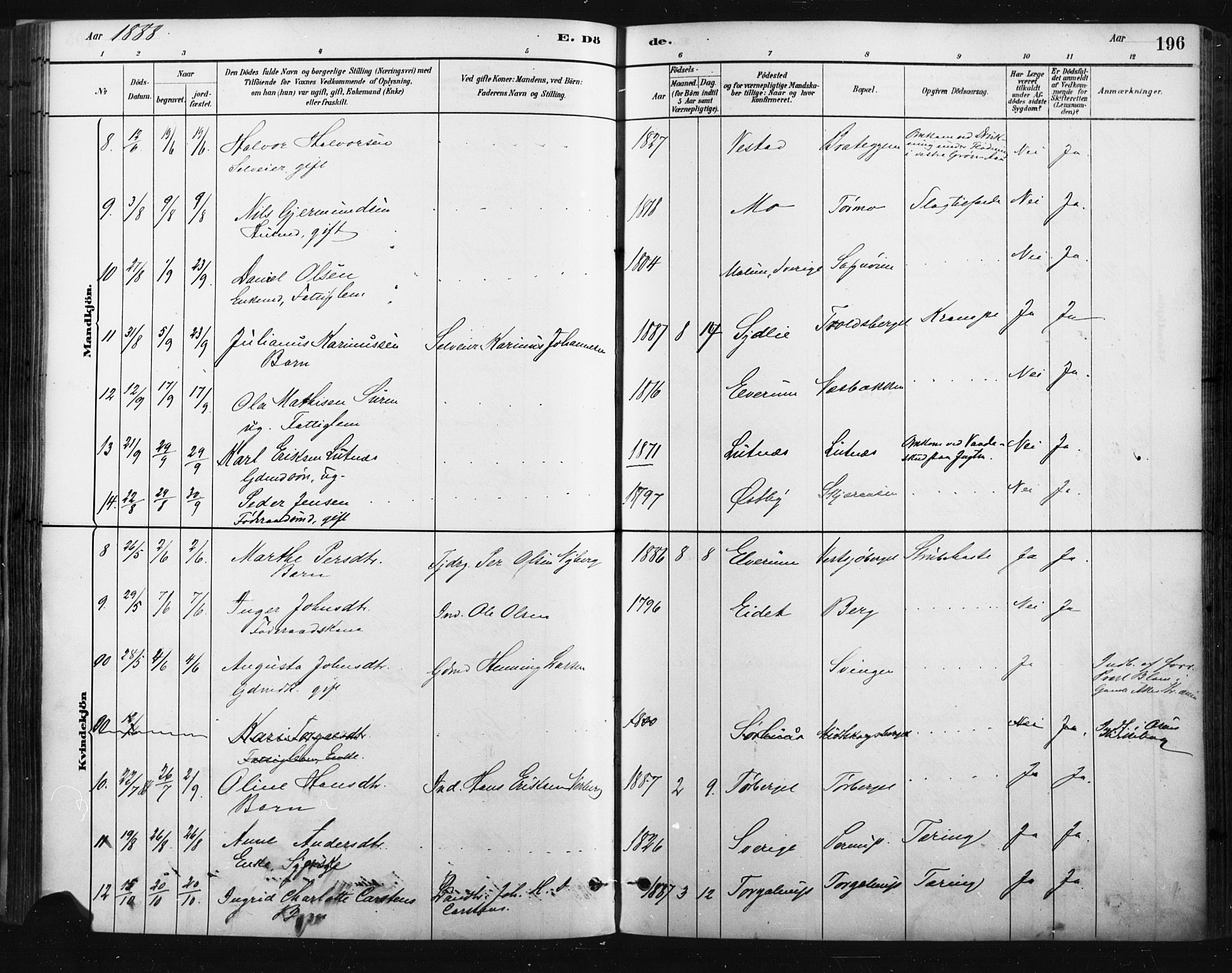 Trysil prestekontor, AV/SAH-PREST-046/H/Ha/Haa/L0009: Parish register (official) no. 9, 1881-1897, p. 196