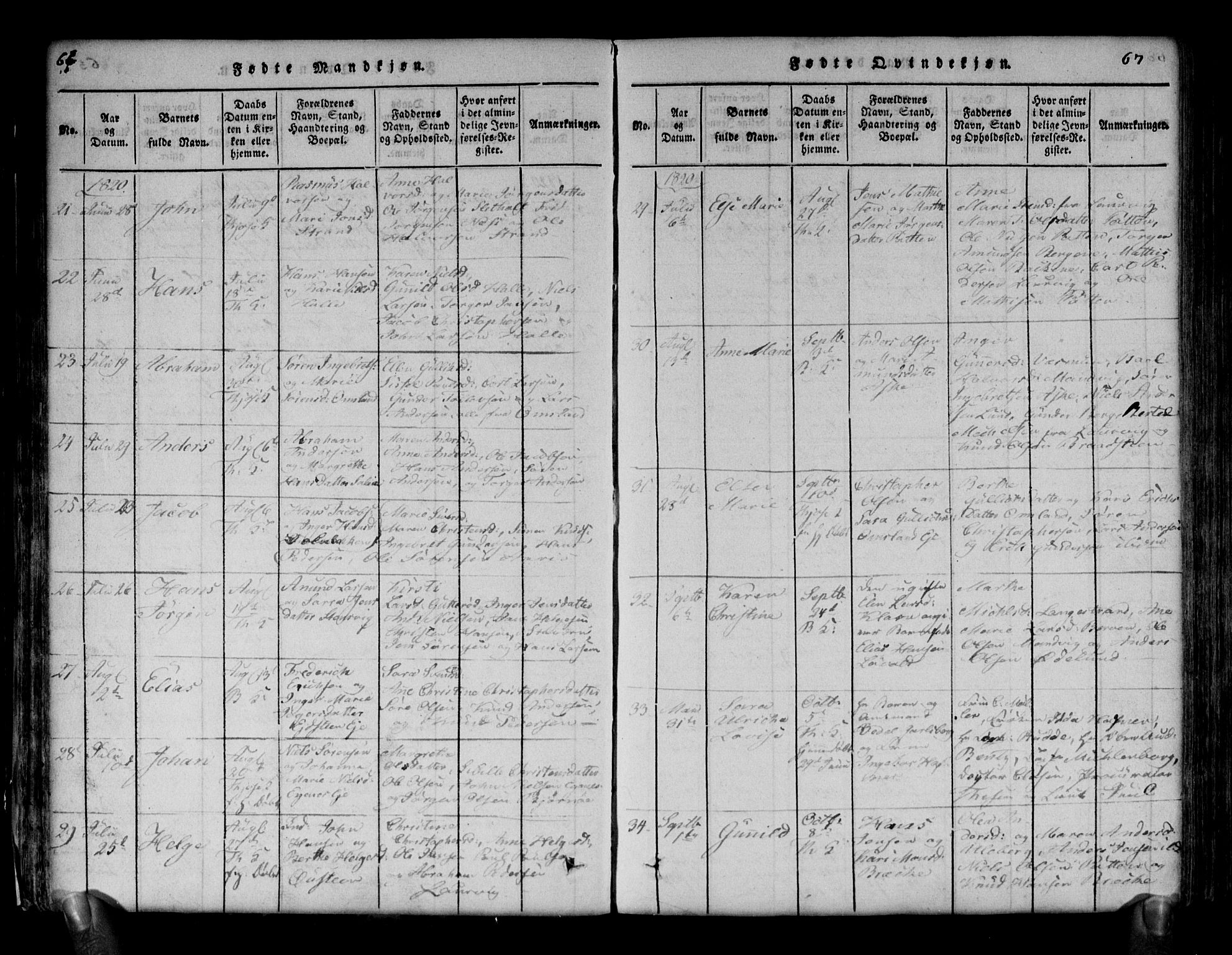 Brunlanes kirkebøker, AV/SAKO-A-342/G/Ga/L0001: Parish register (copy) no. I 1, 1814-1834, p. 66-67