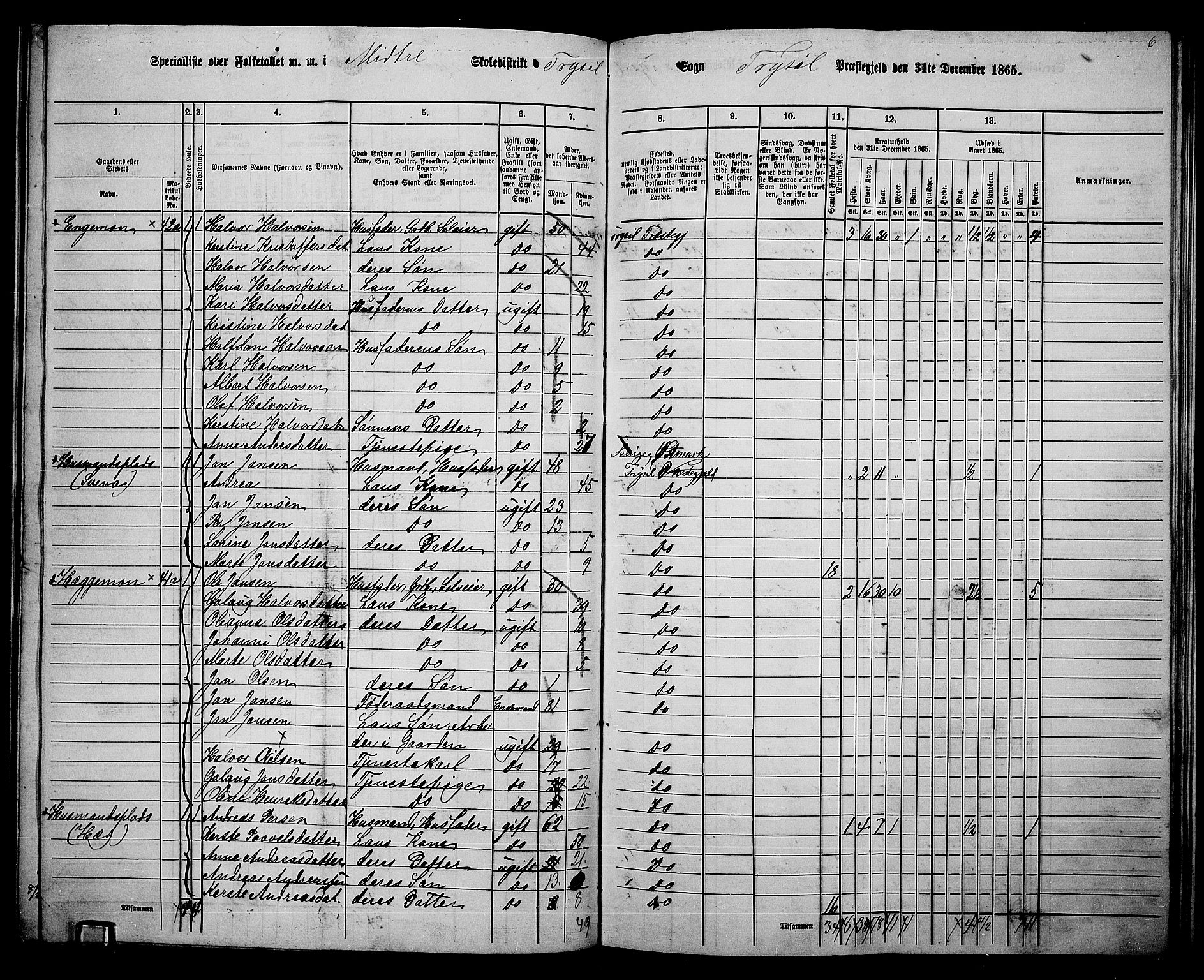 RA, 1865 census for Trysil, 1865, p. 117