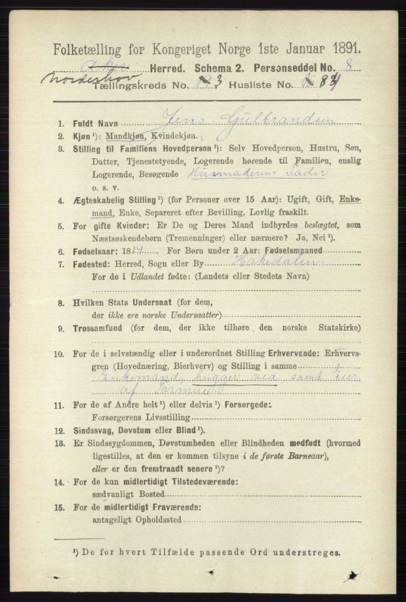 RA, 1891 census for 0613 Norderhov, 1891, p. 1678