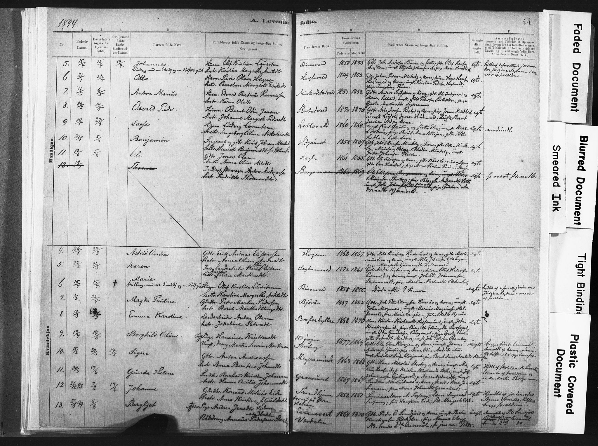 Ministerialprotokoller, klokkerbøker og fødselsregistre - Nord-Trøndelag, SAT/A-1458/721/L0207: Parish register (official) no. 721A02, 1880-1911, p. 44
