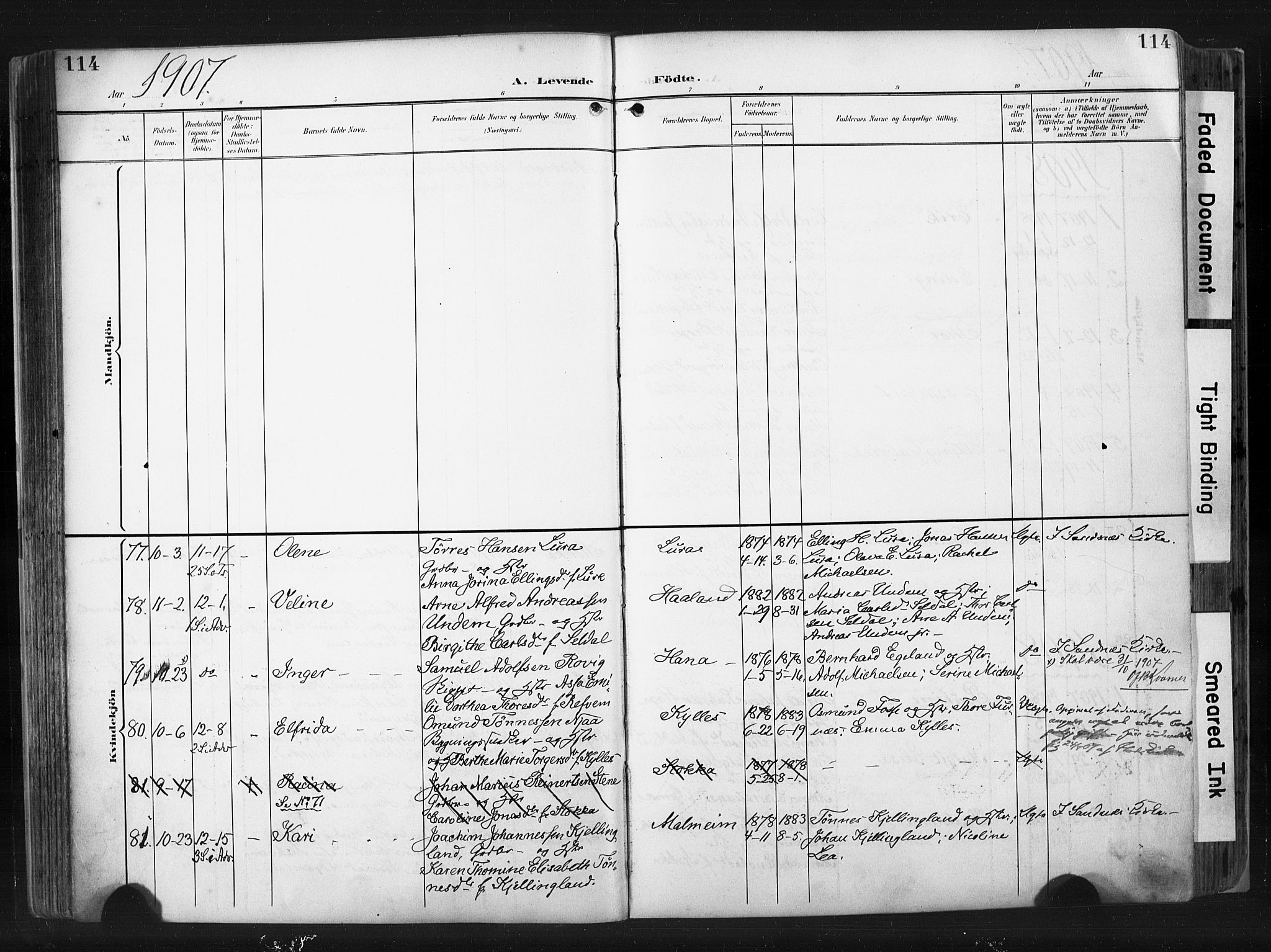 Høyland sokneprestkontor, SAST/A-101799/001/30BA/L0015: Parish register (official) no. A 14, 1899-1911, p. 114