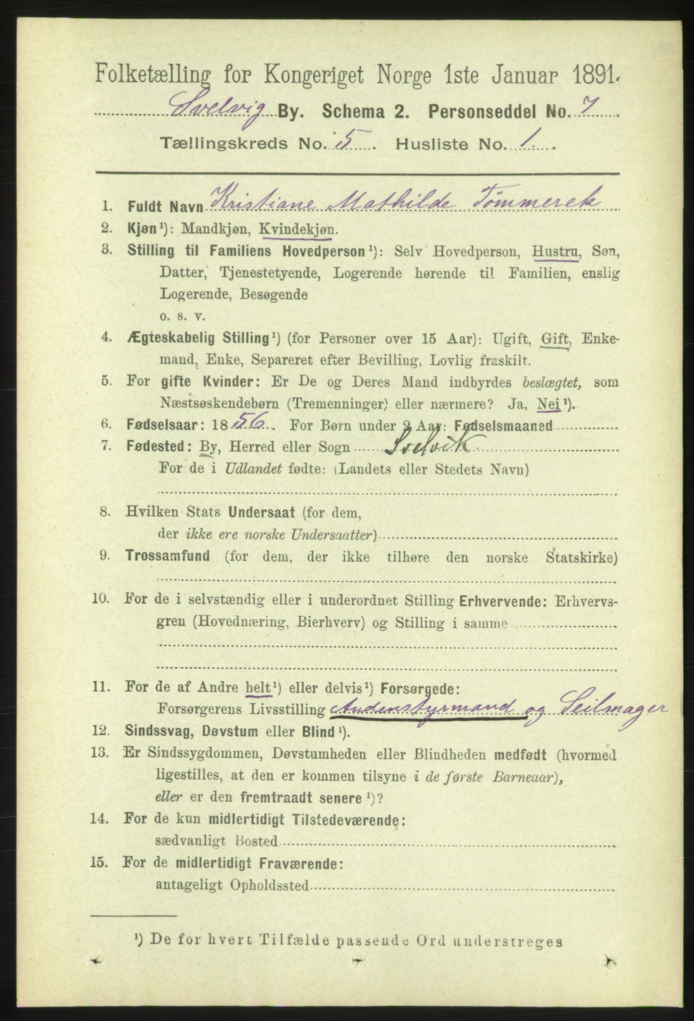 RA, 1891 census for 0701 Svelvik, 1891, p. 1845