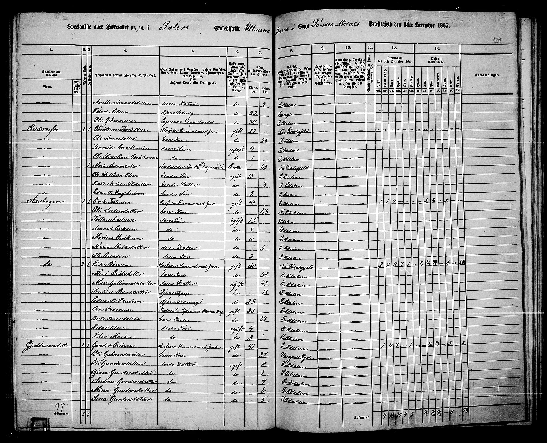 RA, 1865 census for Sør-Odal, 1865, p. 213